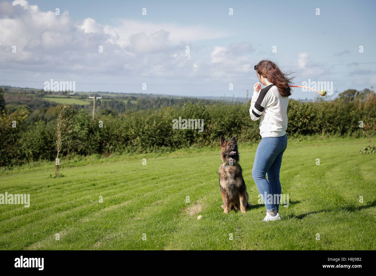 Chien obéissant est assis patiemment en attendant que son propriétaire à l'intermédiaire de son ballon Banque D'Images