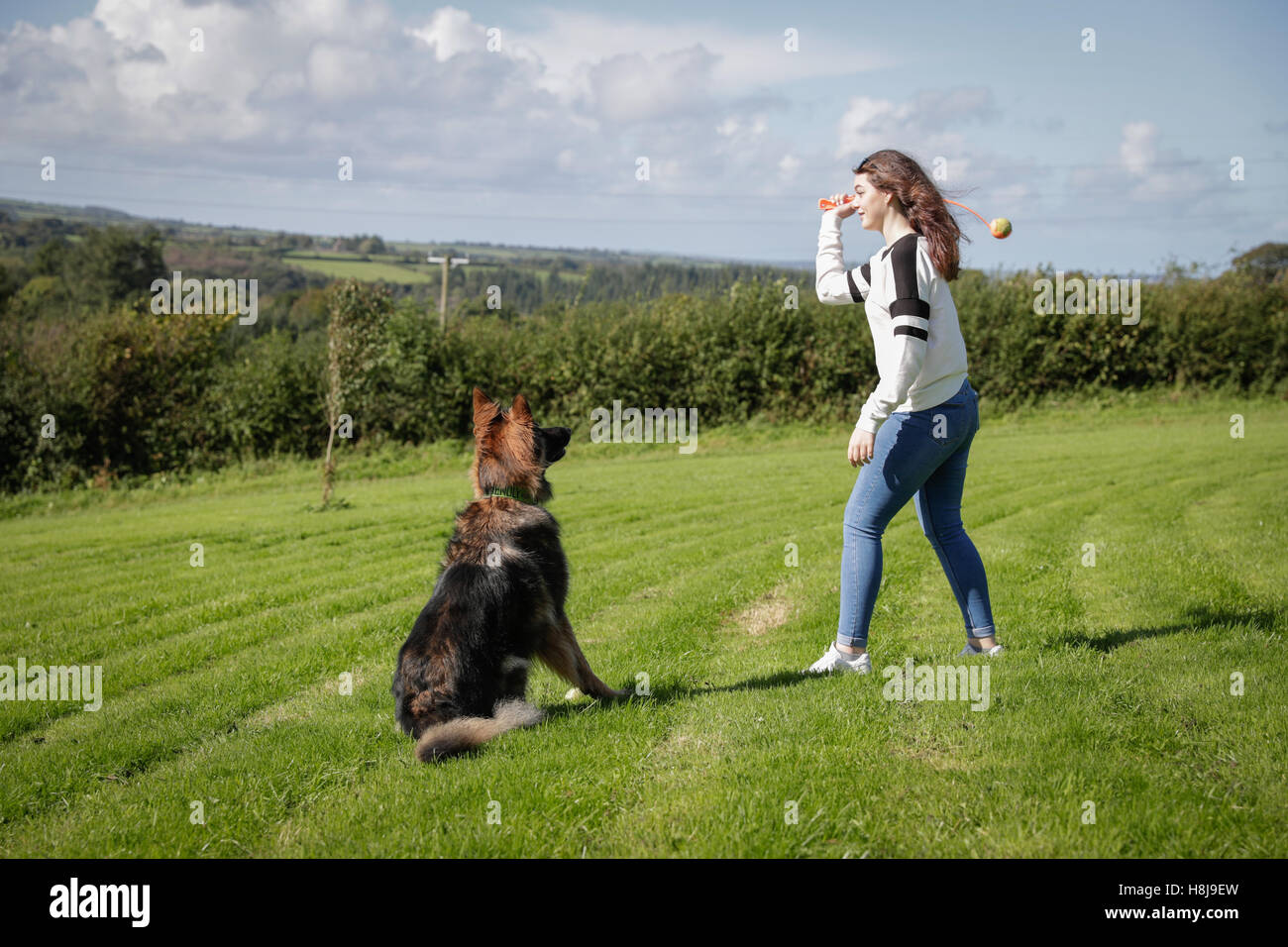 Chien obéissant est assis patiemment en attendant que son propriétaire à l'intermédiaire de son ballon Banque D'Images