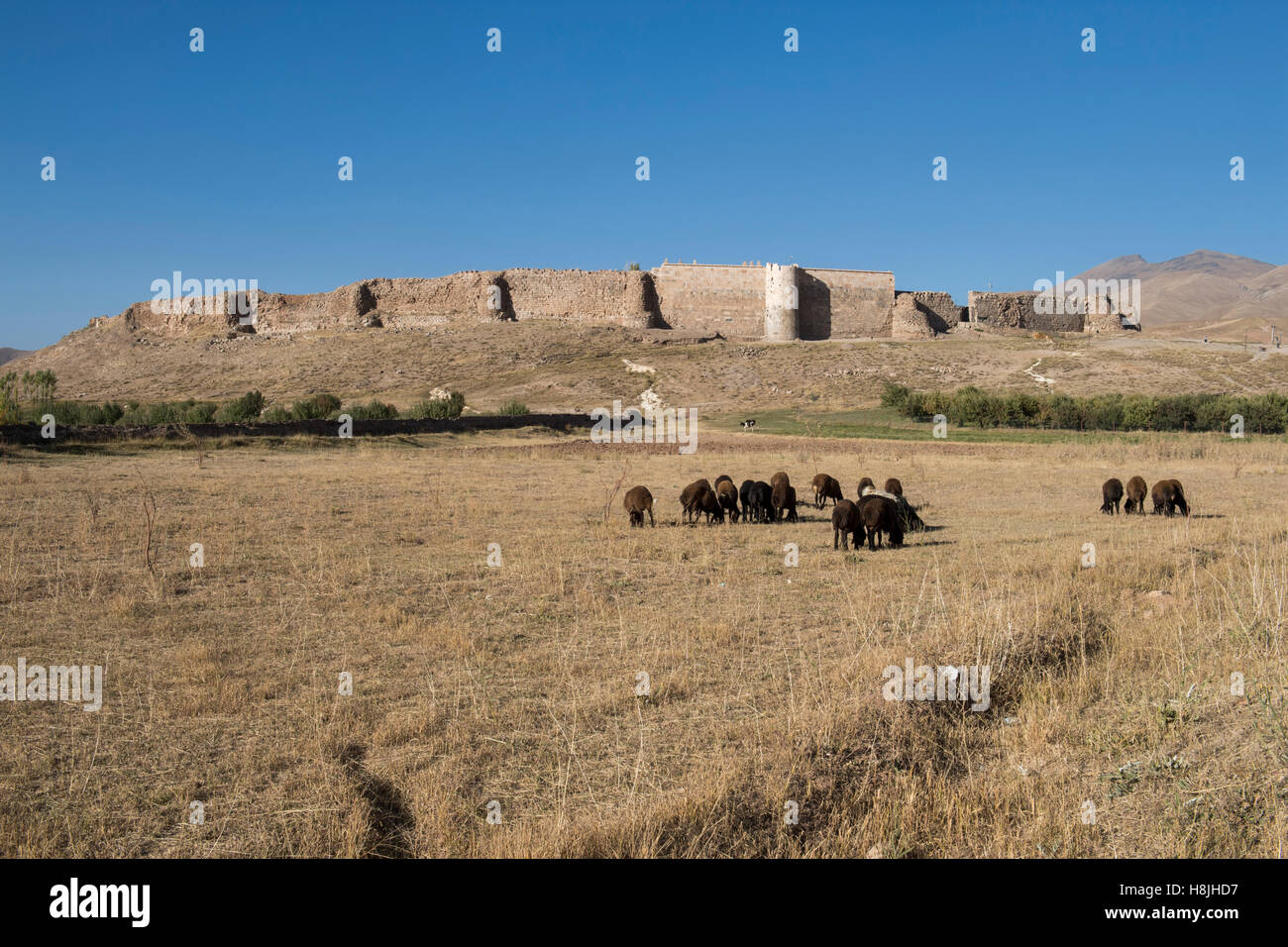 Les murs fortifiés, Takht-e Soleymān, Azerbaïdjan de l'Ouest Banque D'Images