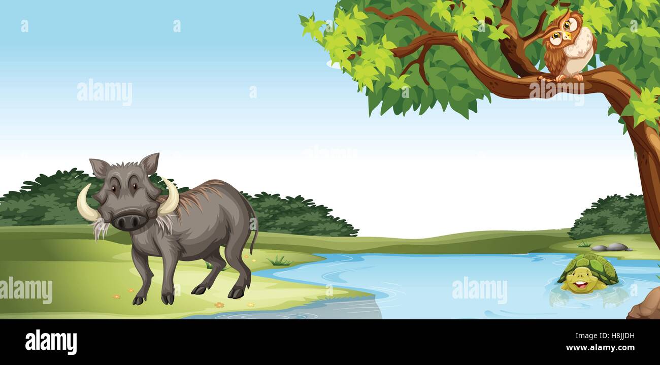 Les animaux sauvages par l'étang illustration Illustration de Vecteur