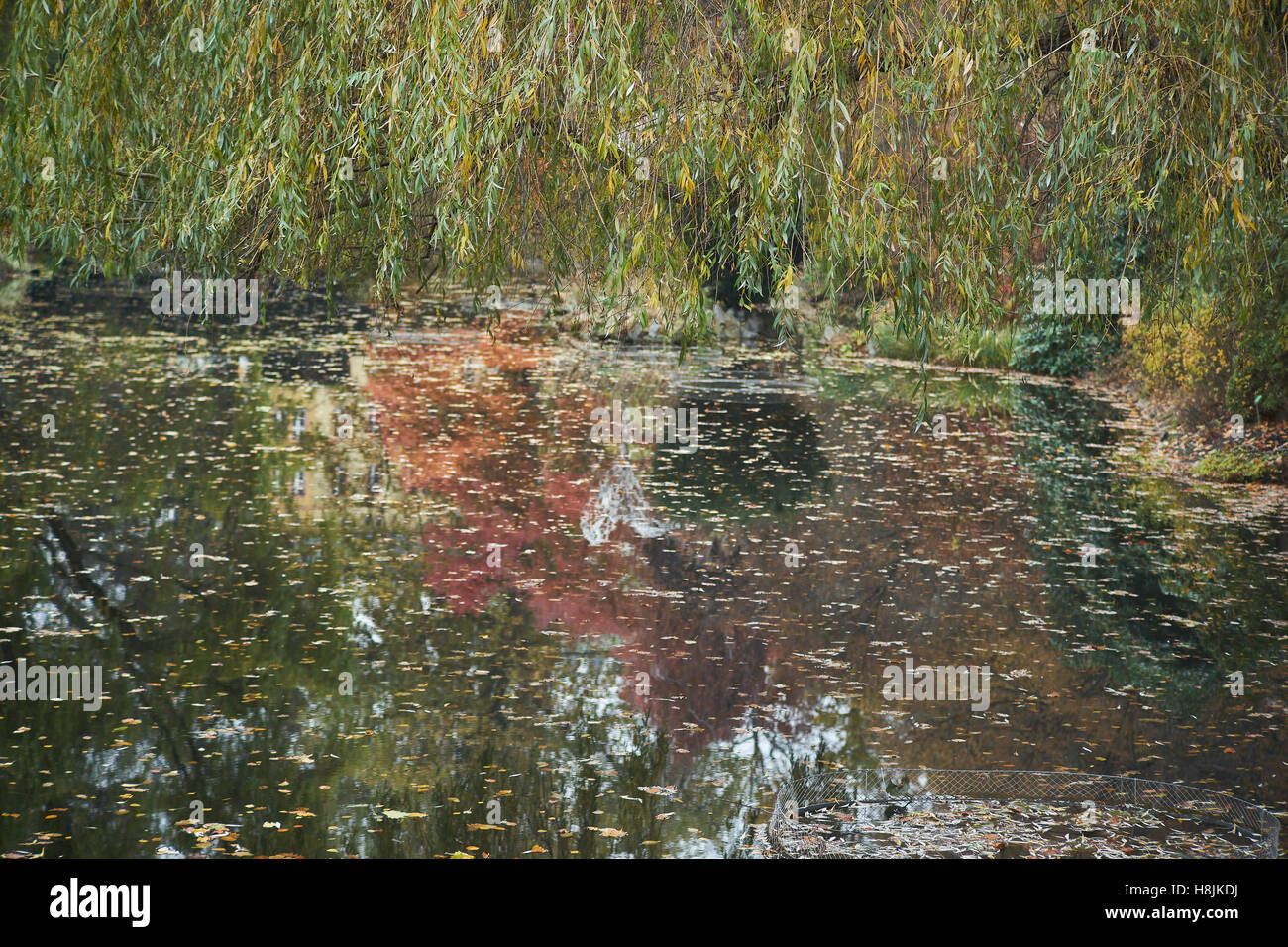 Le silence de l'automne le vide de la solitude de l'eau calme des jardins botaniques Wroclaw Banque D'Images