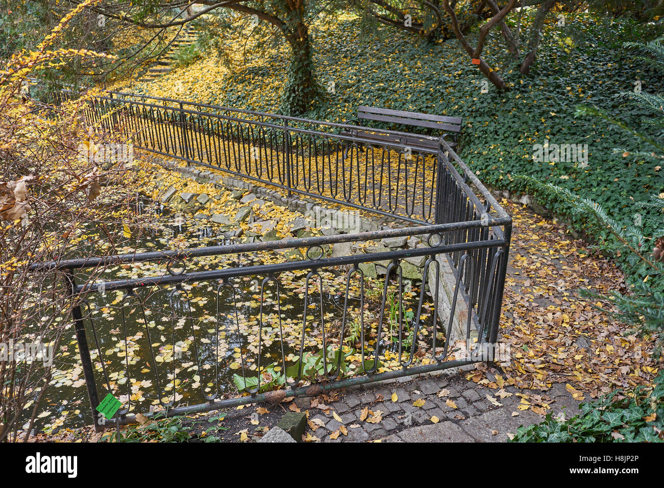 Silence d'automne vide solitude jardins botaniques à Wroclaw automne Banque D'Images