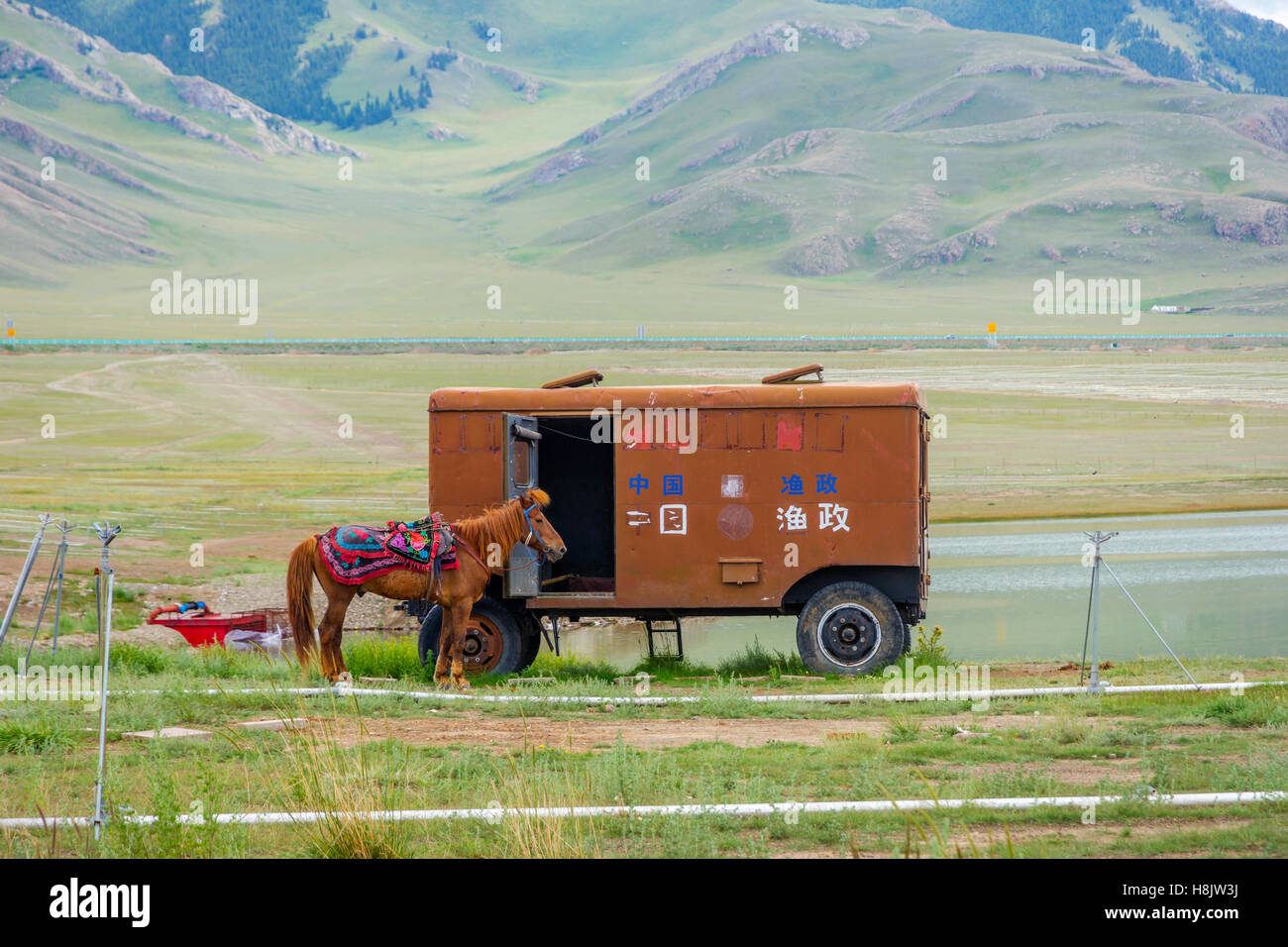 Cheval brun et caravane au lac Sayram, la région autonome ouïghoure du Xinjiang, Chine Banque D'Images