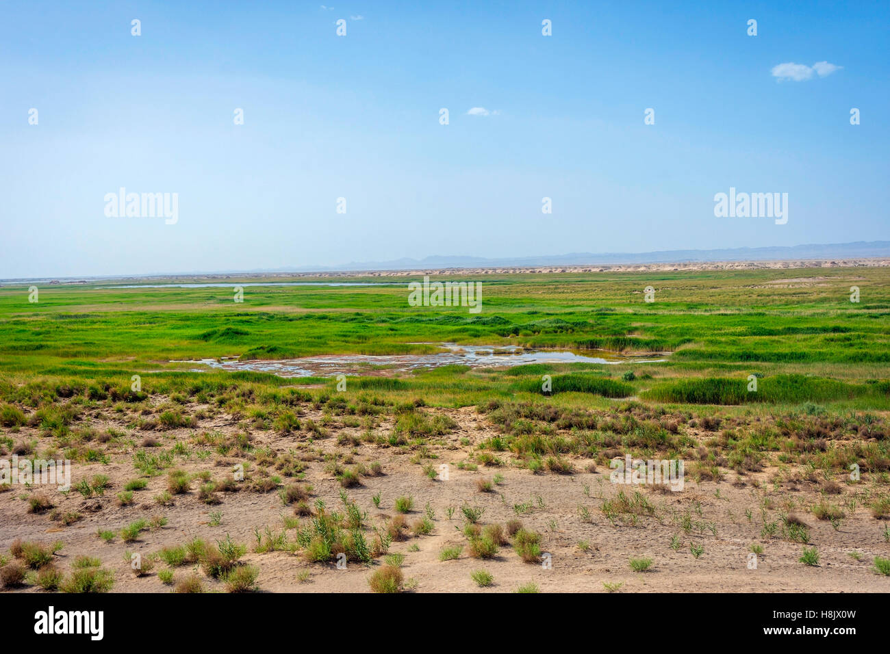 Oasis du désert de Gobi dans des zones humides, Nanjing, province de Gansu, Chine Banque D'Images