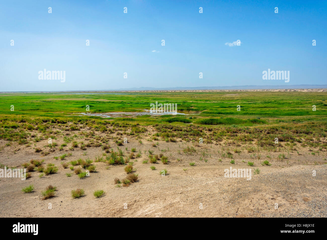 Oasis du désert de Gobi dans des zones humides, Nanjing, province de Gansu, Chine Banque D'Images