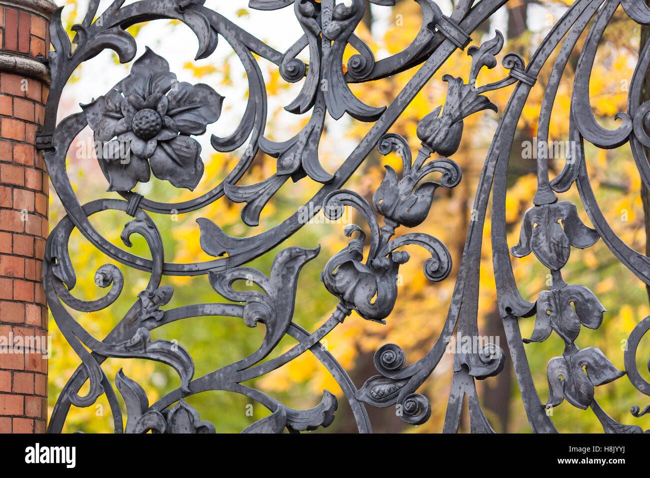Ornement Floral de clôture du parc Mikhailovsky sur fond de feuilles d'automne, Saint-Pétersbourg, Russie Banque D'Images