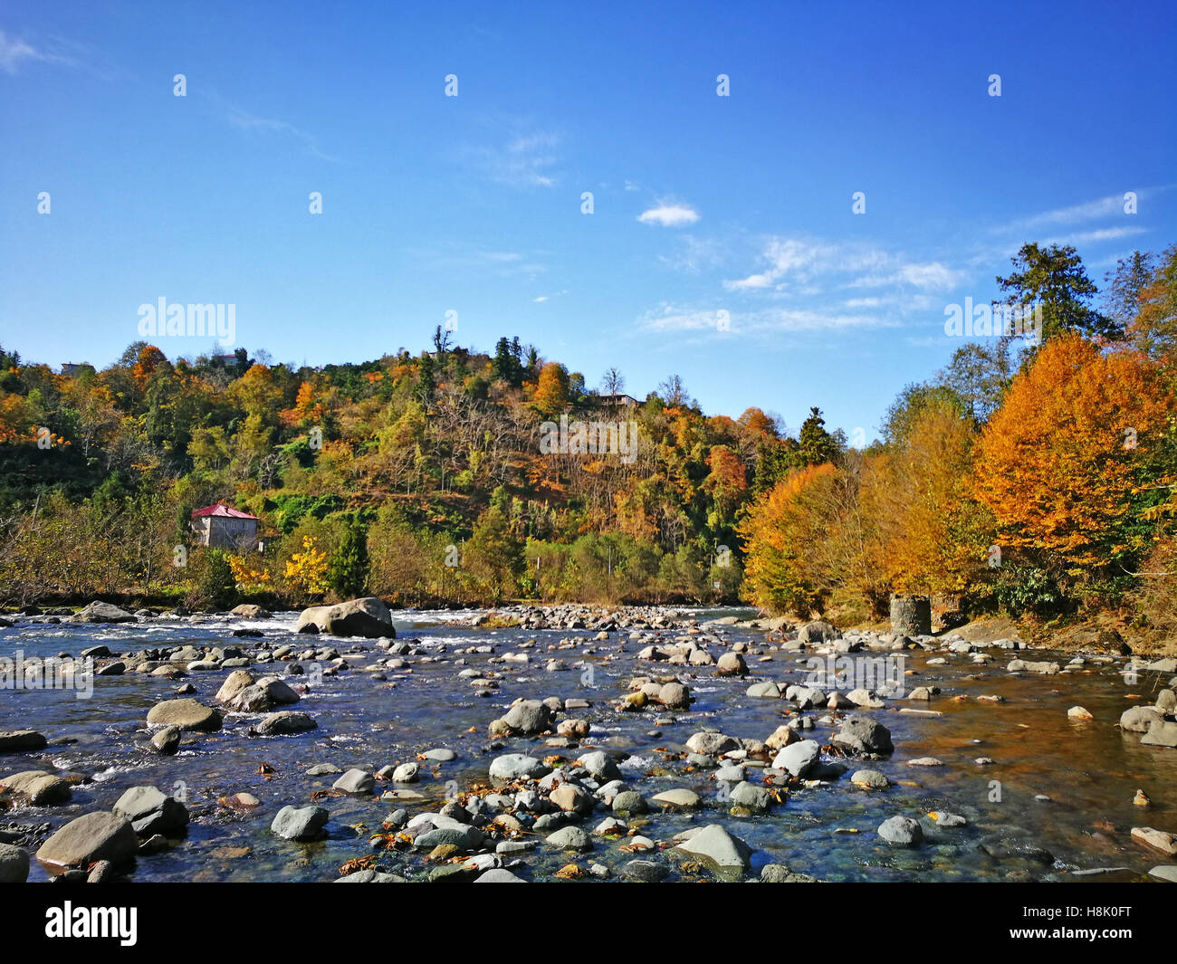 Rivière de montagne paysage nature l'automne jaune Géorgie Banque D'Images Rivière de montagne paysage nature l'automne jaune Géorgie Banque D'Images