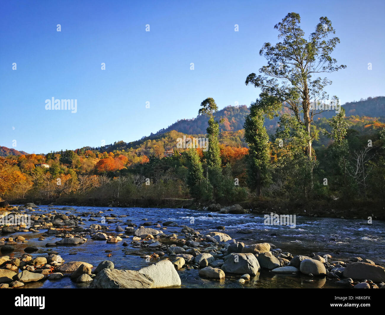 Rivière de montagne paysage nature l'automne jaune Géorgie Banque D'Images