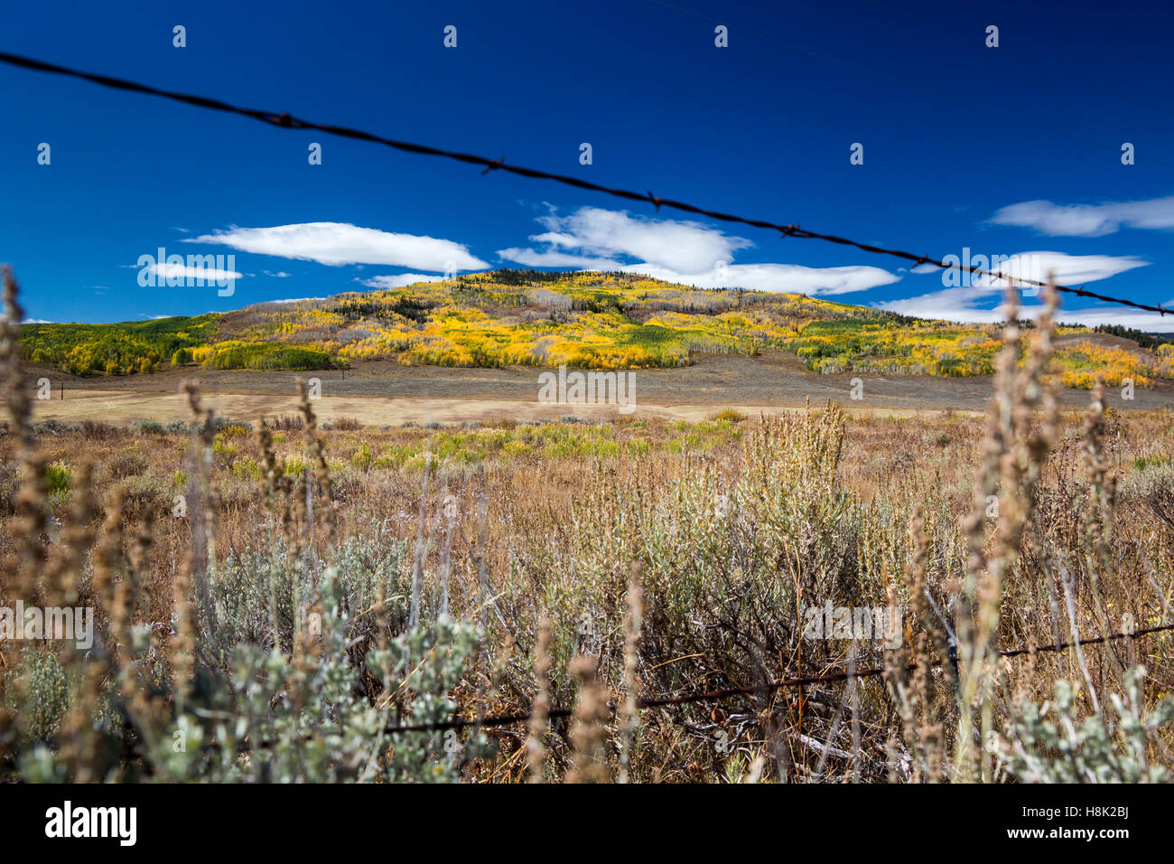 Kremmling, Colorado - Couleurs d'automne au-dessus d'un ranch dans les Montagnes Rocheuses. Banque D'Images