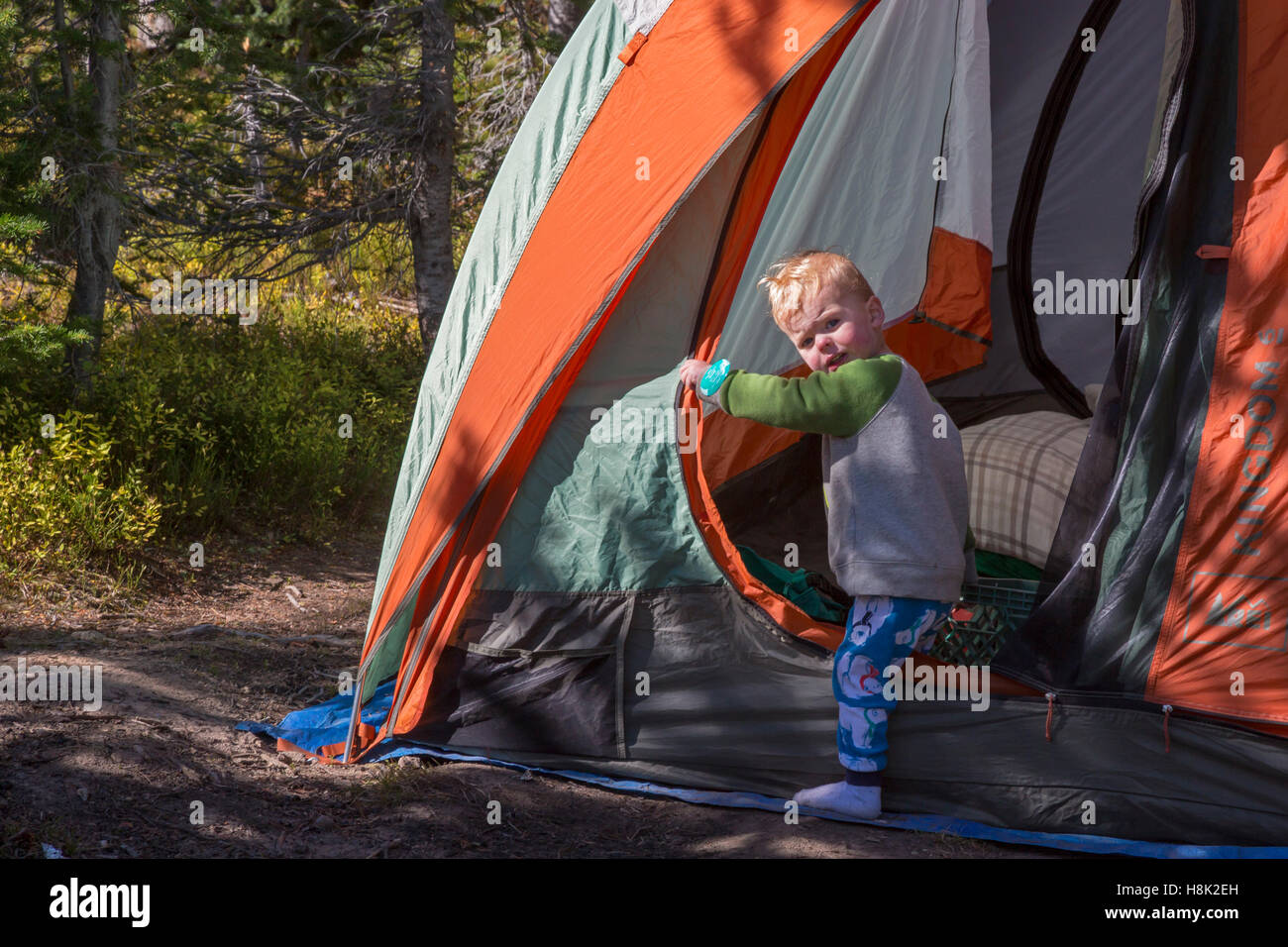 Tabernash, Colorado - deux ans, Adam Hjermstad Jr. sort de la tente en camping avec sa famille dans les Montagnes Rocheuses. Banque D'Images