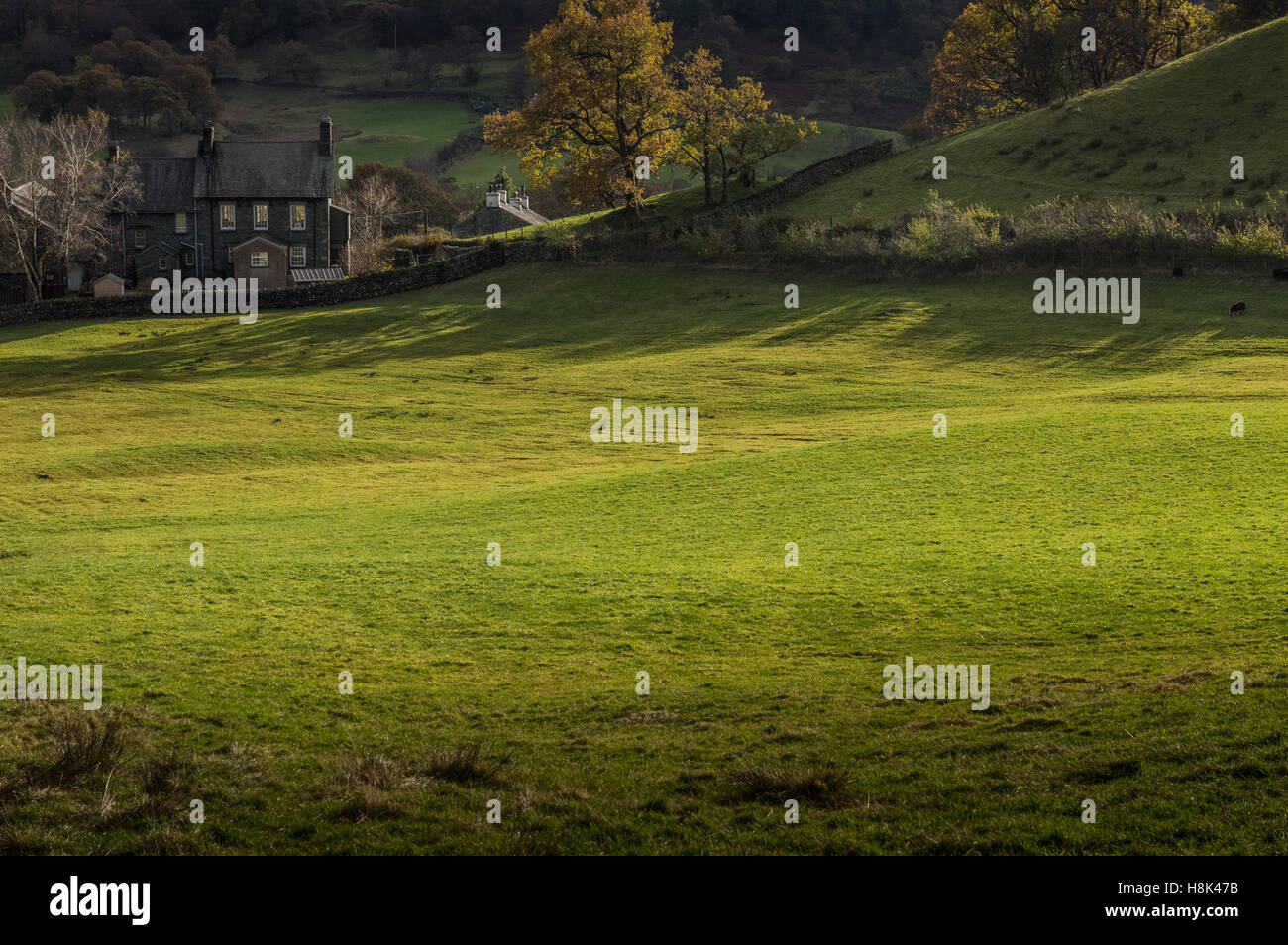 Les ombres dans peu de Langdale Banque D'Images