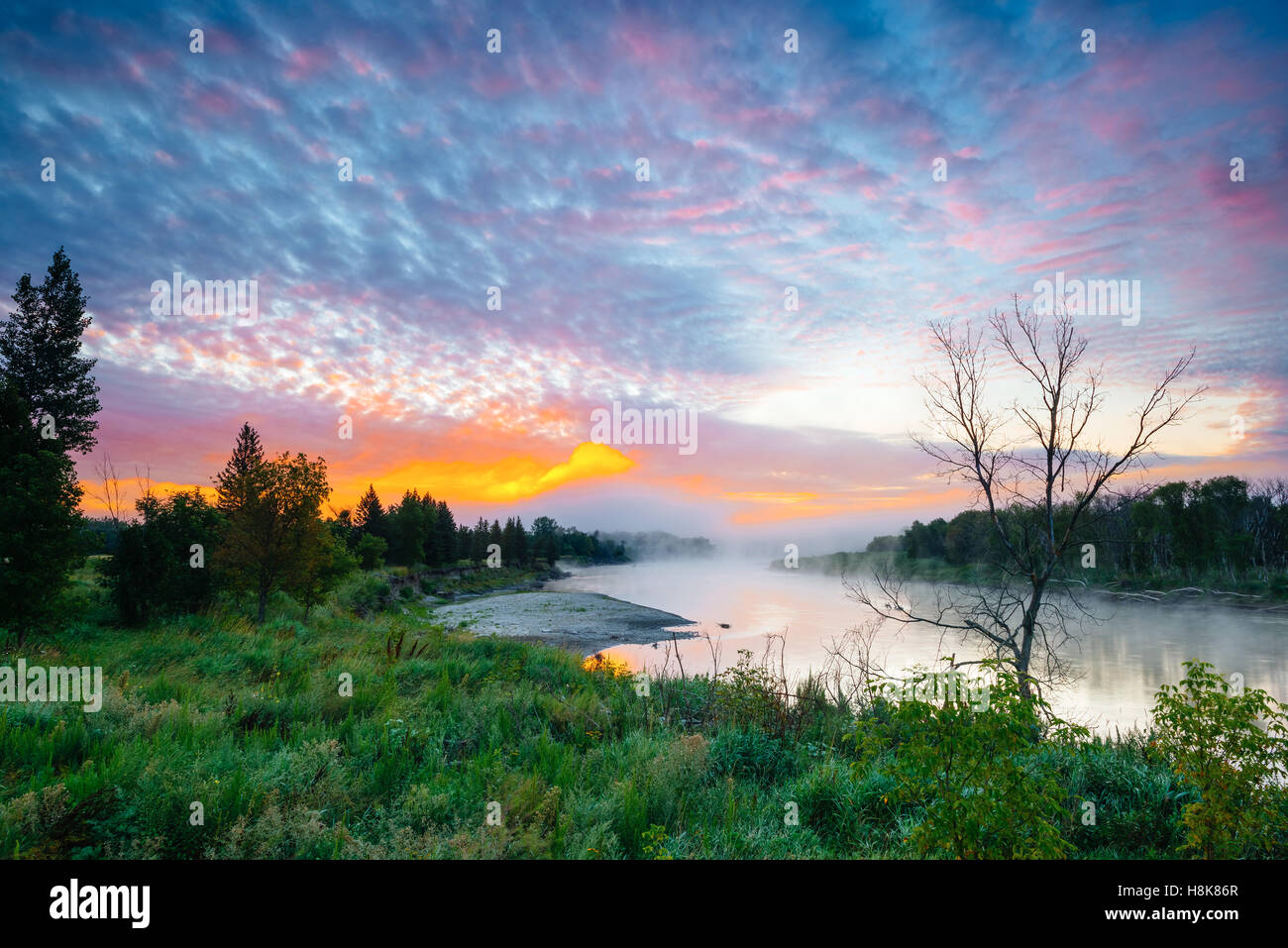 Le lever du soleil sur la rivière Assiniboine, dans le parc provincial Spruce Woods, Manitoba, Canada Banque D'Images