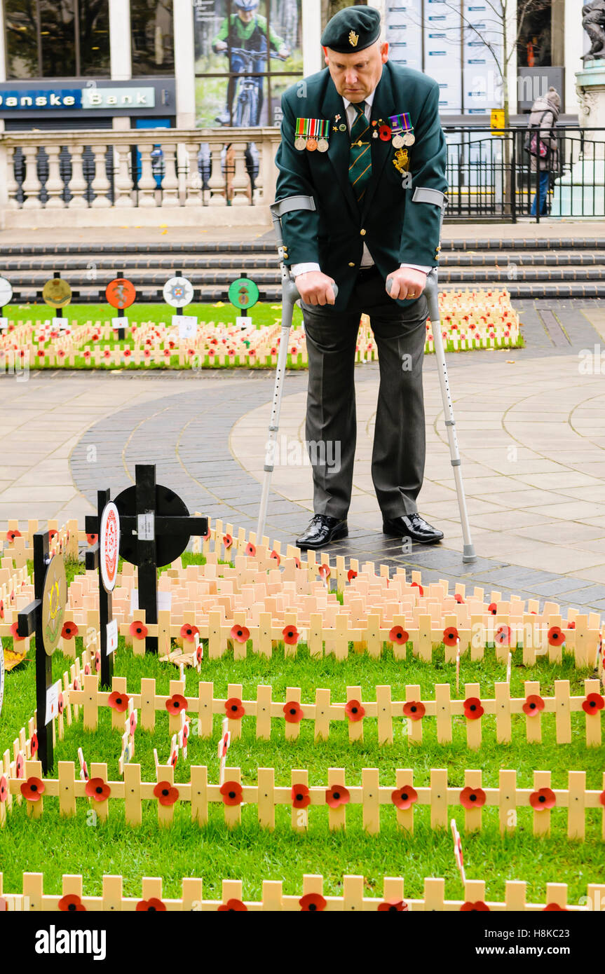 Belfast, Irlande du Nord,. 13Th Nov, 2016. Un combattant handicapé ressemble à croix de bois avant la cérémonie du culte de dimanche à Belfast City Hall Cénotaphe. Crédit : Stephen Barnes/Alamy Live News Banque D'Images