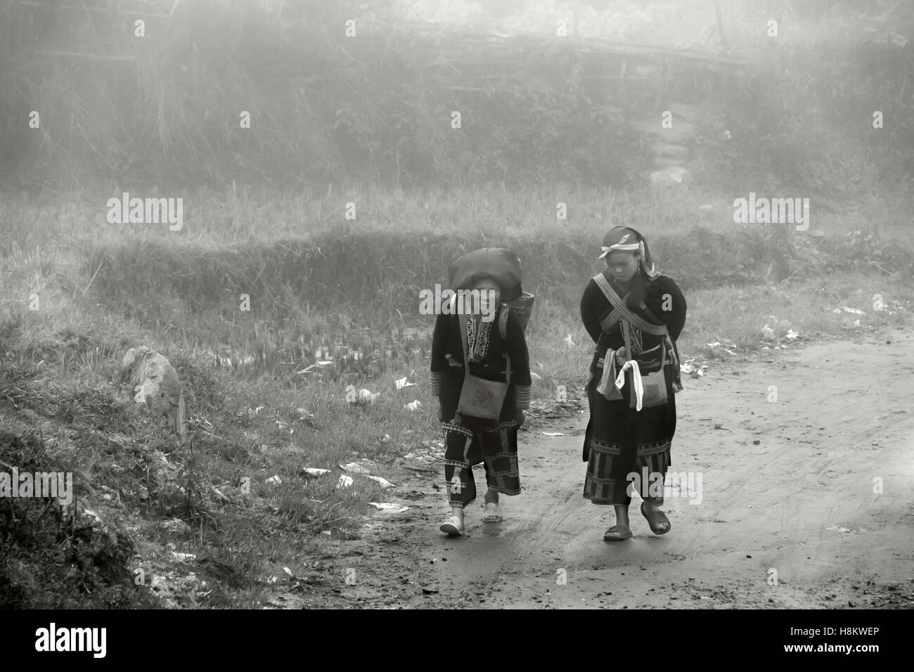 Les femmes Dao sous la pluie et de la brume, Sa Pa, Vietnam du Nord Banque D'Images