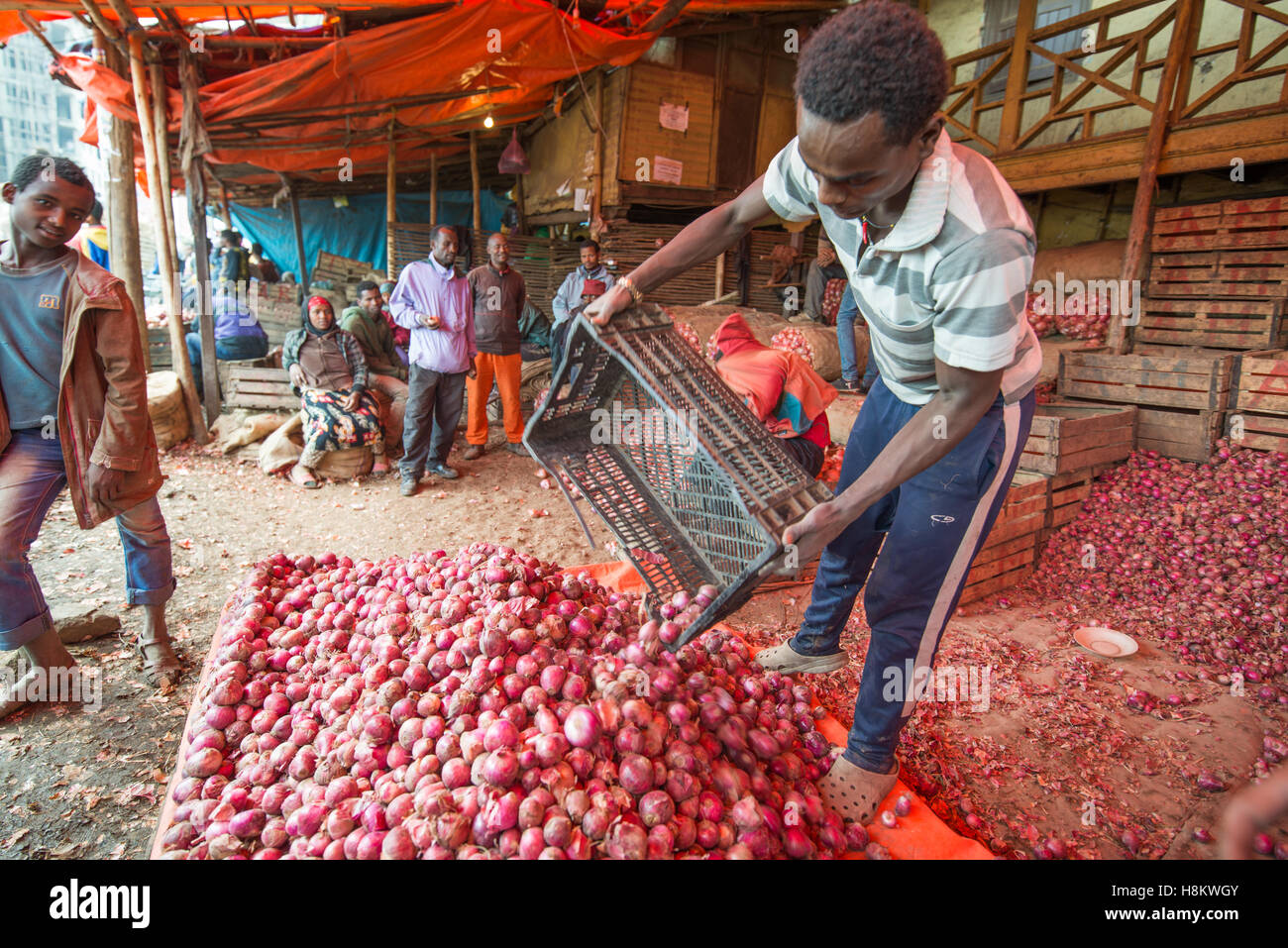 Addis Abeba, Ethiopie- les oignons pour la vente à l'Mercato, le plus grand marché de plein air en Afrique. Banque D'Images