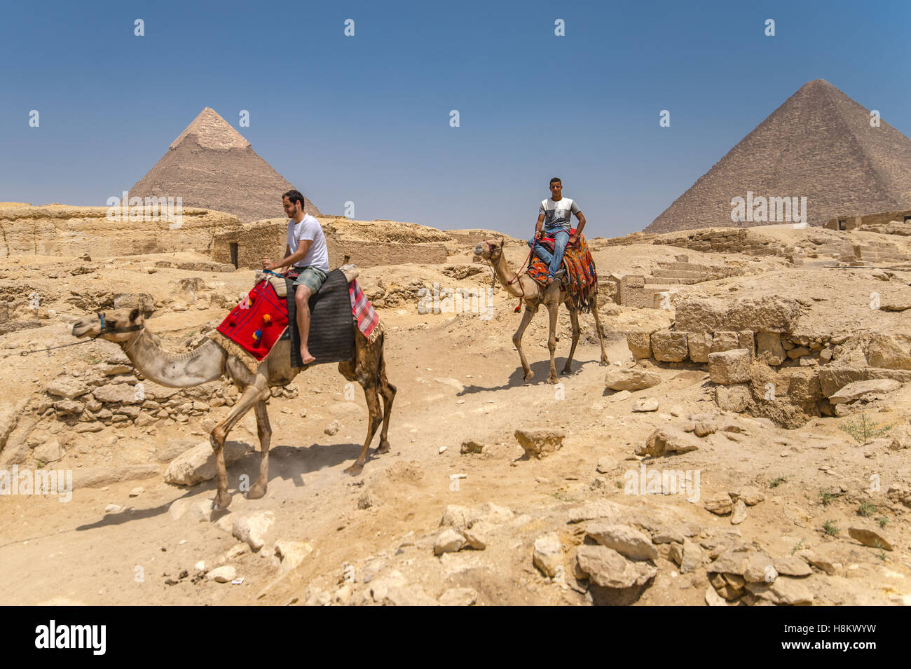 Le Caire, Égypte touristes chameaux marche à travers le désert avec les grandes pyramides de Gizeh à l'arrière-plan. Ces particulier Banque D'Images