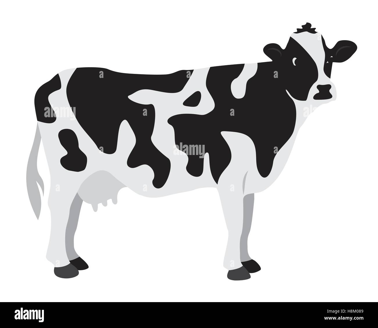 Vache sur un fond blanc Illustration de Vecteur
