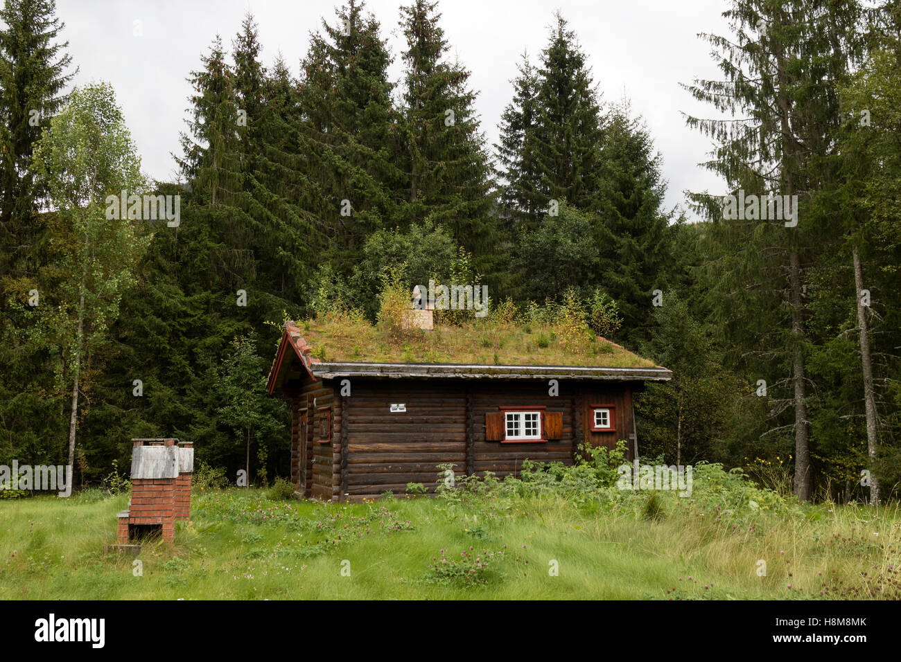 Maison dans la vallée dans la vallée avec un toit isolé par les plantes et les mousses, la Norvège, la Norvège, Setesdal Banque D'Images