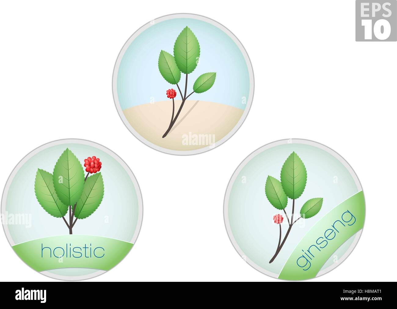 Approche holistique, le ginseng plante, icônes de médecine alternative Illustration de Vecteur