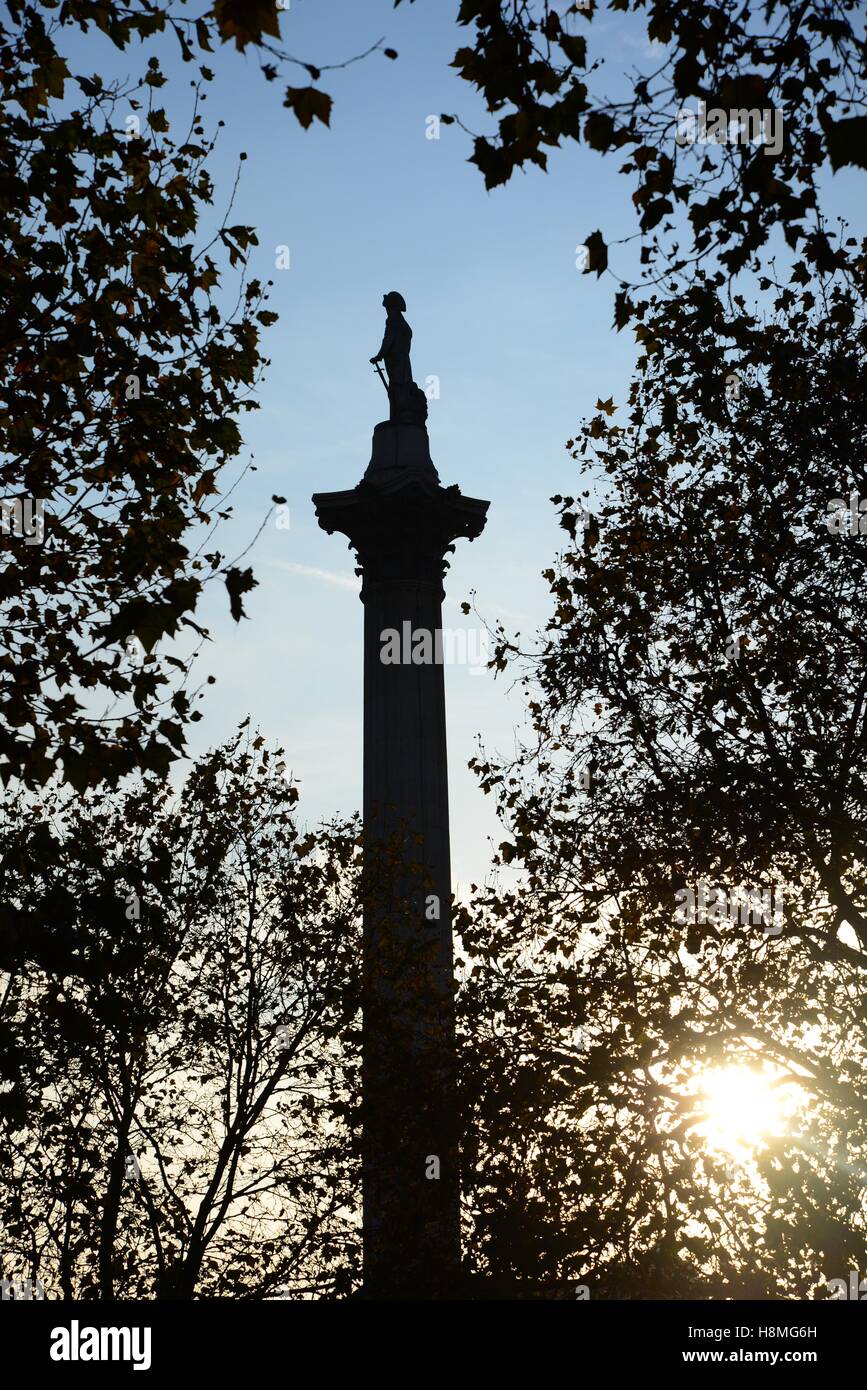 La colonne Nelson, Trafalgar Square, Londres, Angleterre Banque D'Images