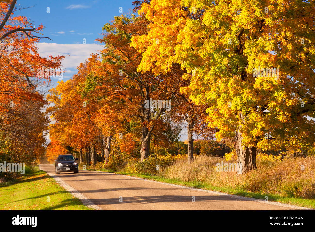 Une voiture roulant sur une route bordée d'affichage des couleurs de l'automne près de Paris, en Ontario, Canada. Banque D'Images