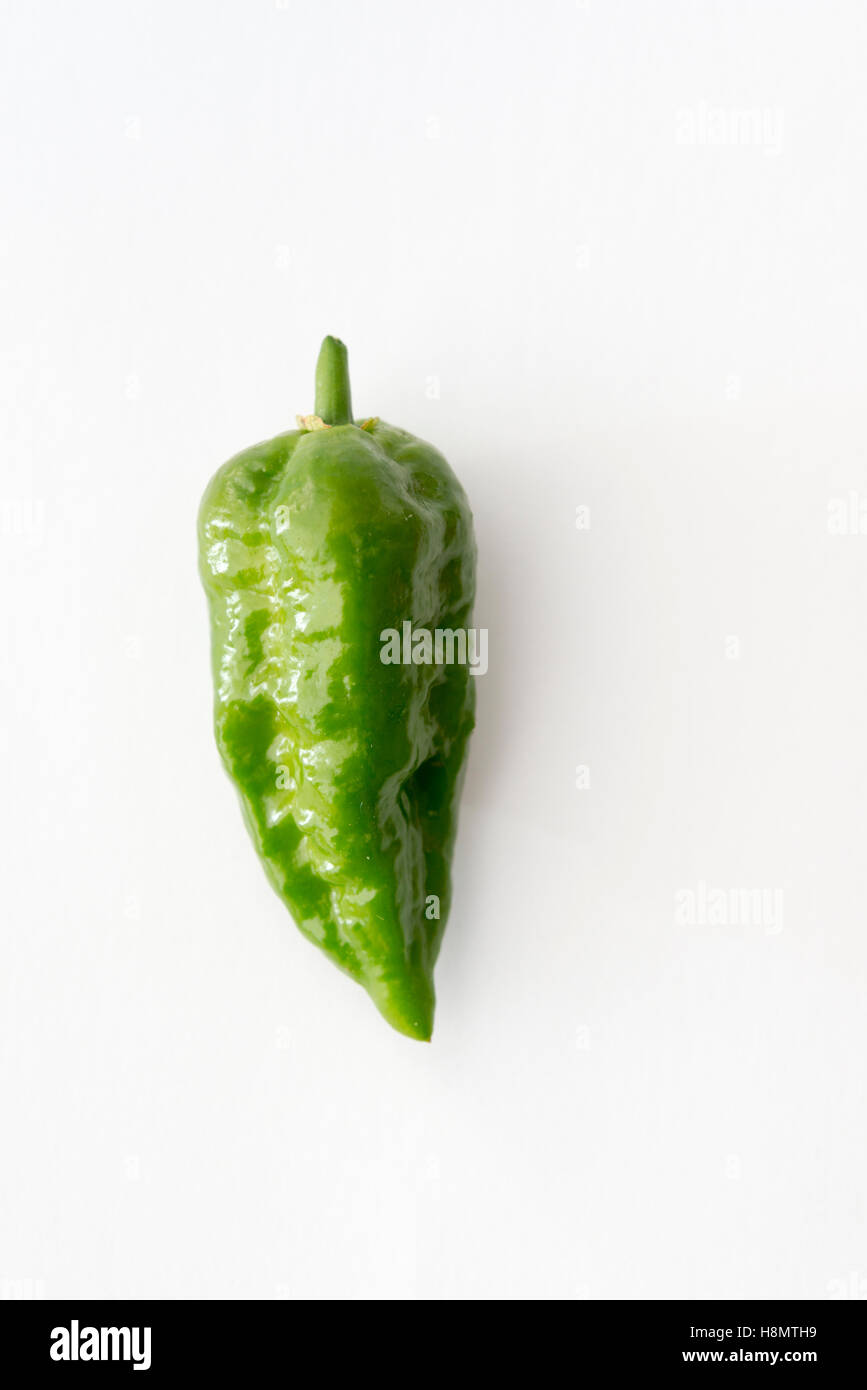 Un livre vert ou Naga Jolokia Naga Norfolk chili peppers sur fond blanc Banque D'Images