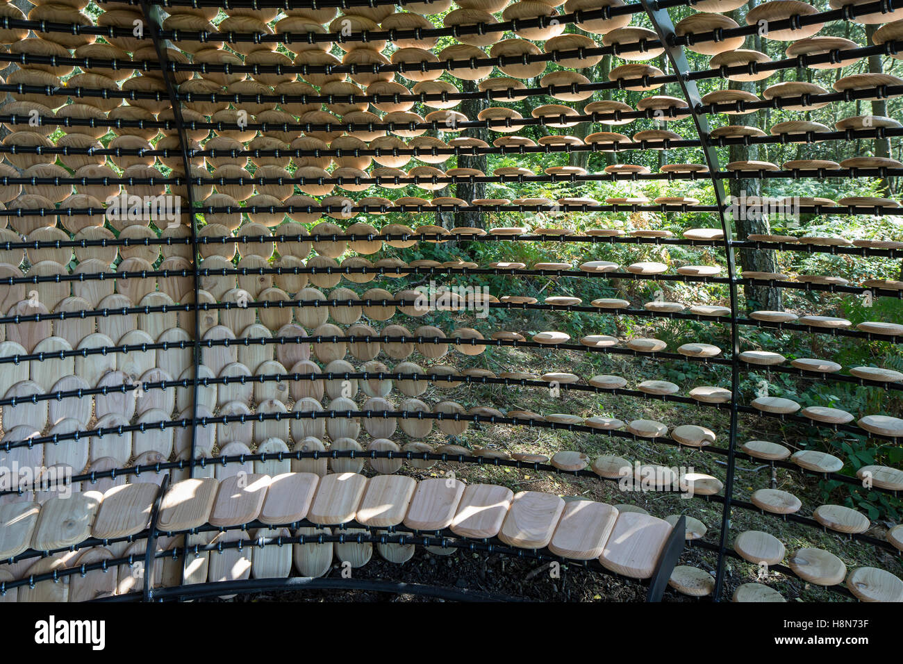 Vue détaillée de l'intérieur du pavillon. Perspectives. Pavilion, collines du Surrey, Royaume-Uni. Architecte : Giles Miller Studio , 2016. Banque D'Images