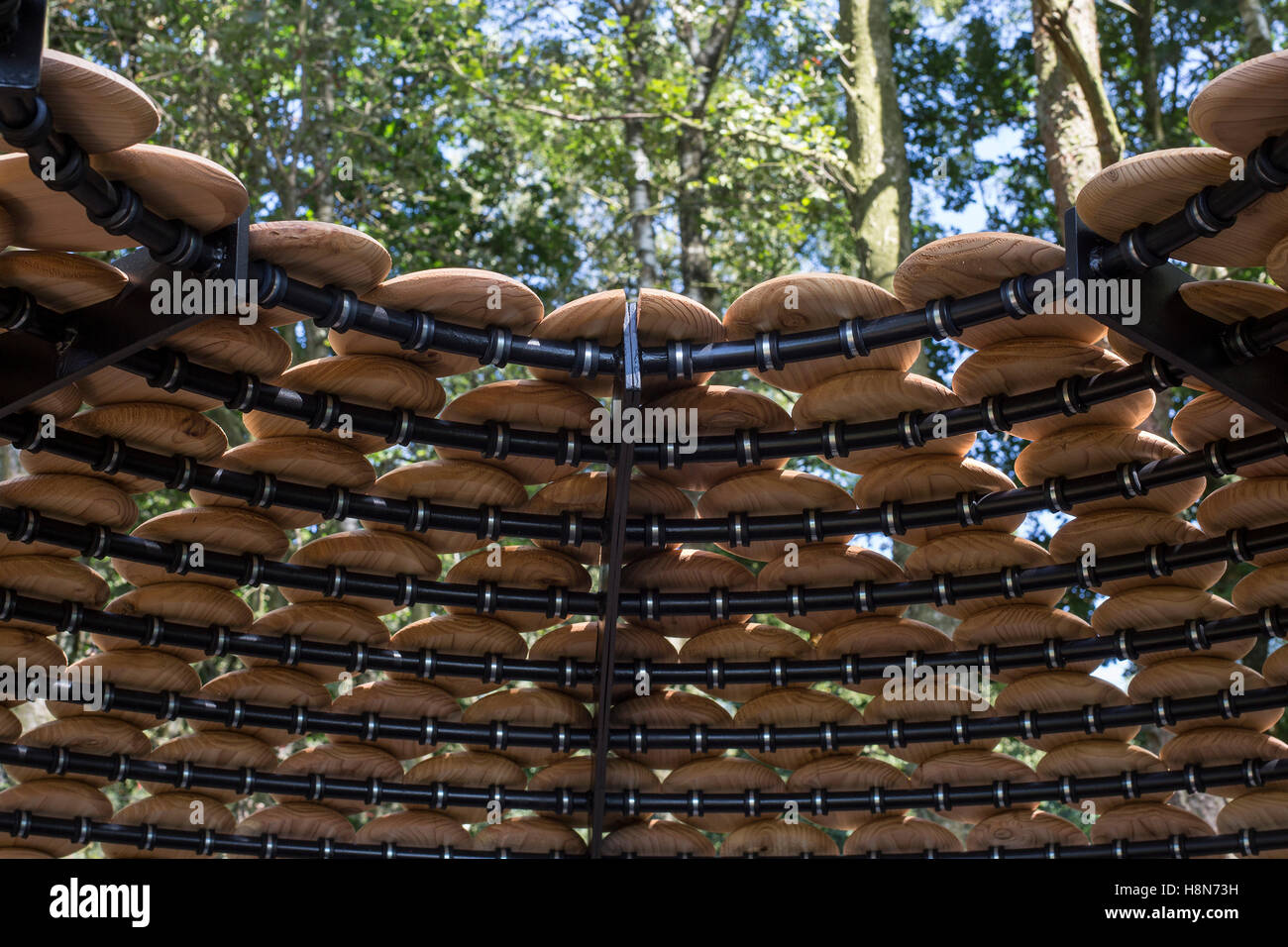 Vue détaillée de haut de pavillon. Perspectives. Pavilion, collines du Surrey, Royaume-Uni. Architecte : Giles Miller Studio , 2016. Banque D'Images