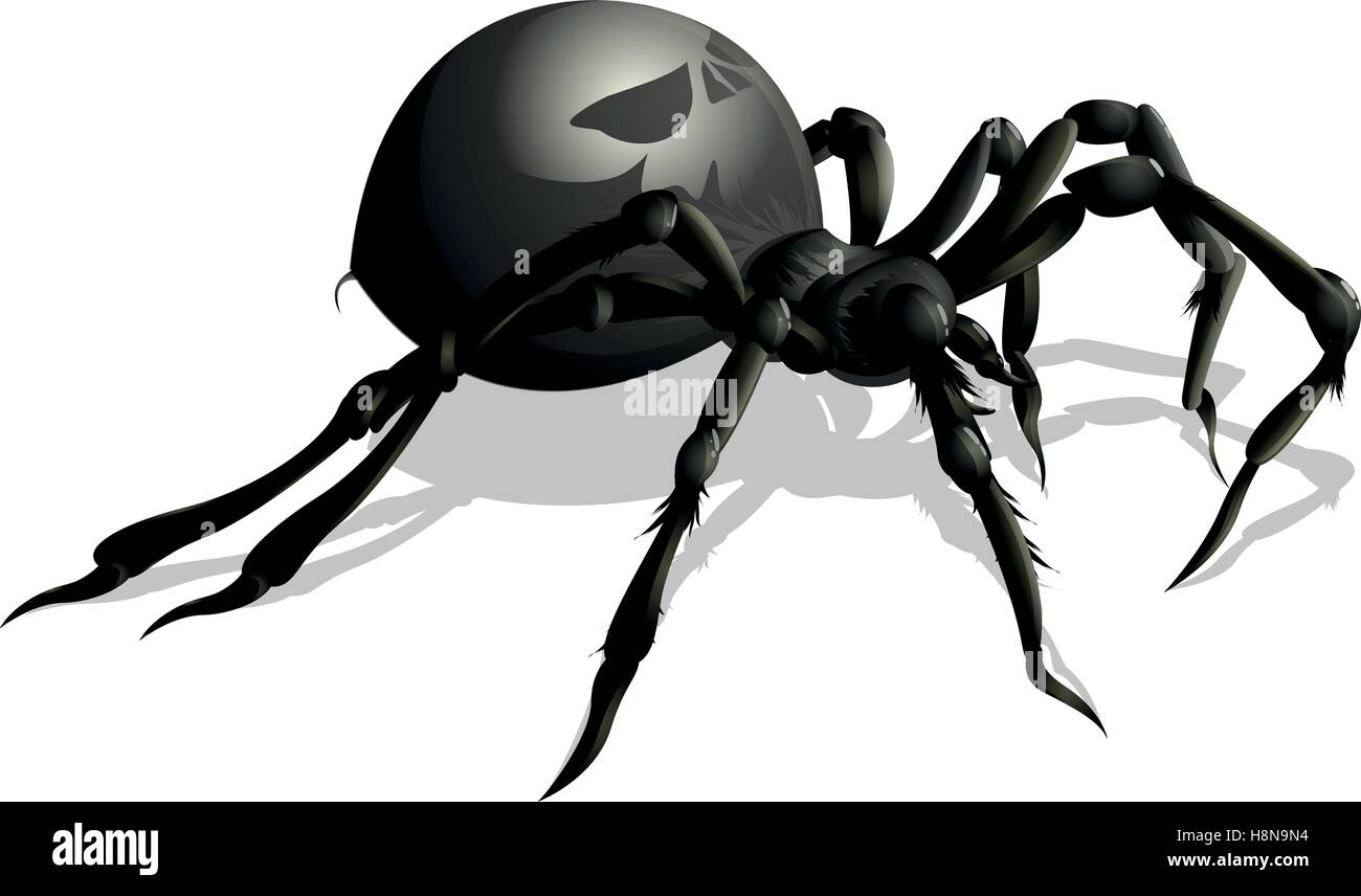 Funny cartoon spider pour la conception Illustration de Vecteur