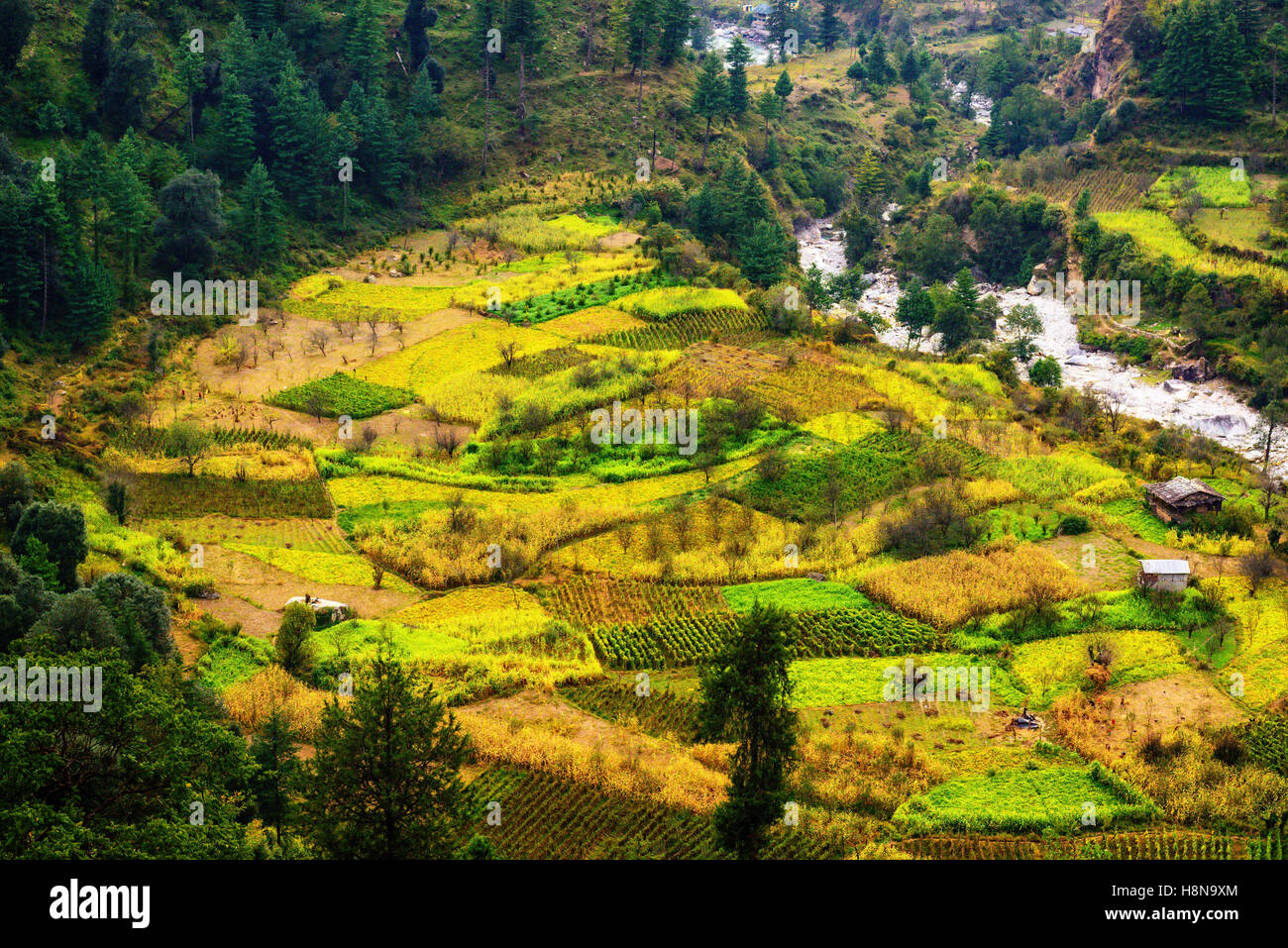 L'agriculture traditionnelle dans les Himalaya conviendra Banque D'Images