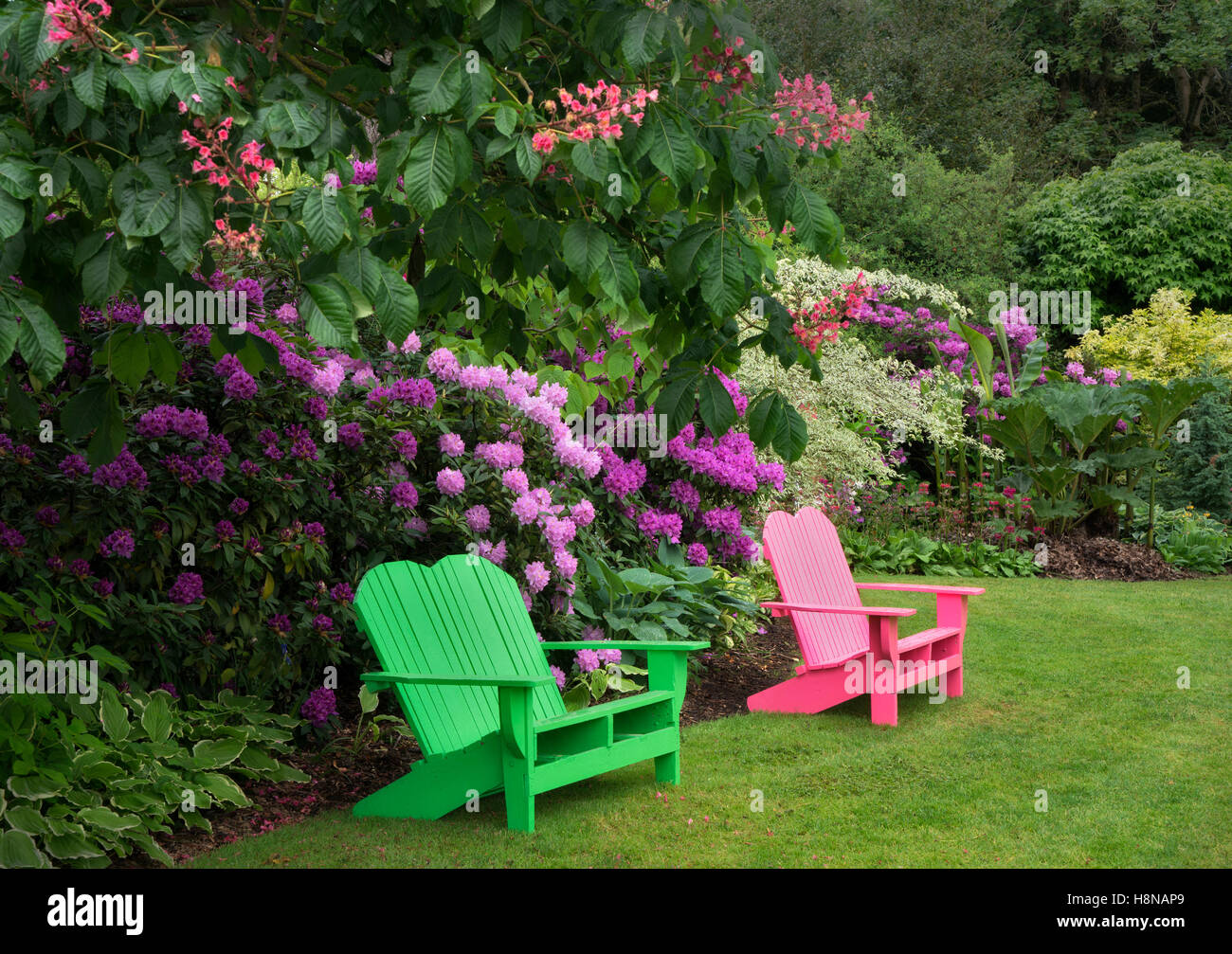 Iris et autres plantes à fleurs avec chaise à Schriners Jardin d'Iris. Oregon Banque D'Images