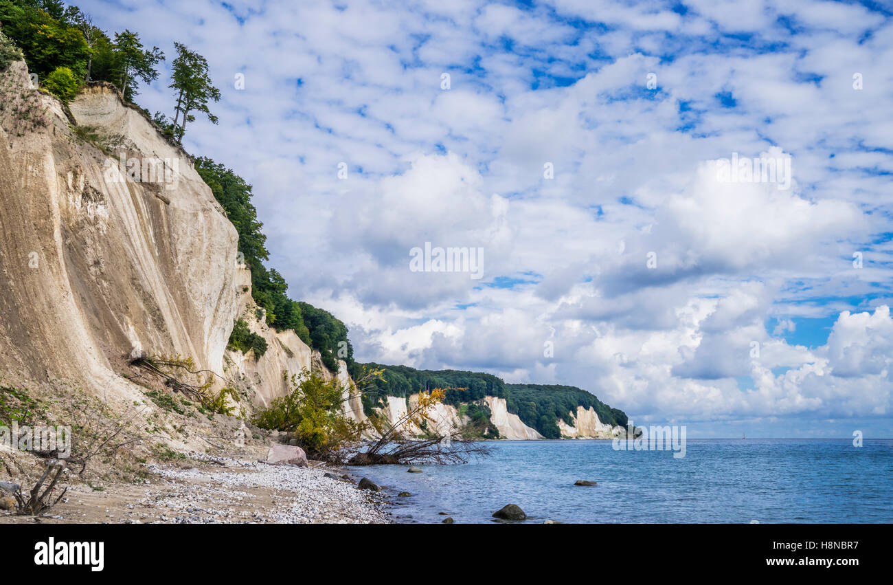 Falaise de craie à la côte du parc national de Jasmund, près de Königsstuhl (Président), du Roi de l'île de Rügen, Mecklenburg-Vorpommern, Allemagne Banque D'Images