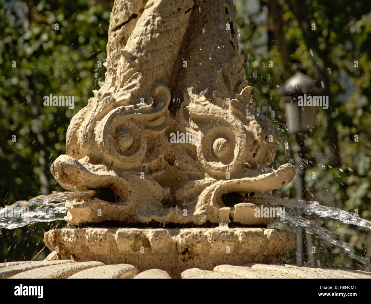 Fontaine en pierre avec des sculptures de tête de poisson, close-up Banque D'Images