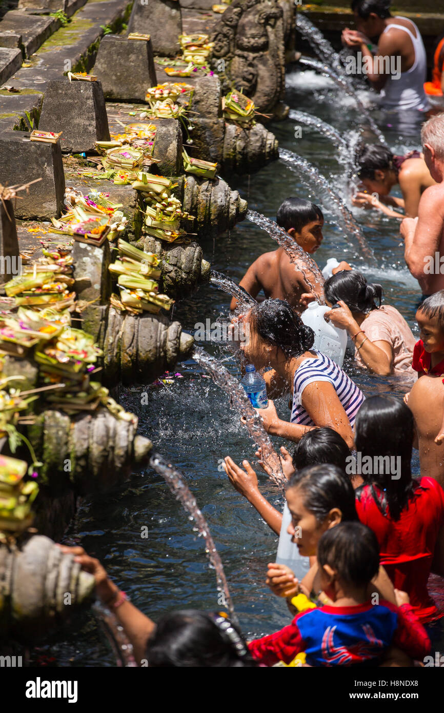 Bali, Indonésie - Août 7, 2016 : l'hindouisme balinais, les familles viennent au sacré de ressorts de Tirta Empul Bali, Indonésie, pour prier. Banque D'Images