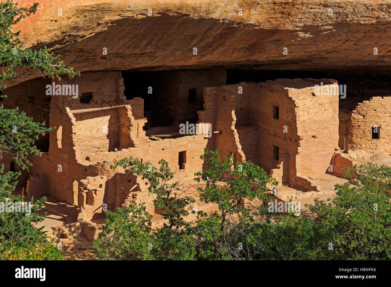 Une vue de la maison de l'arbre de l'épinette, le troisième plus grand et le mieux préservé de falaise Mesa Verde National Park Colorado USA Banque D'Images