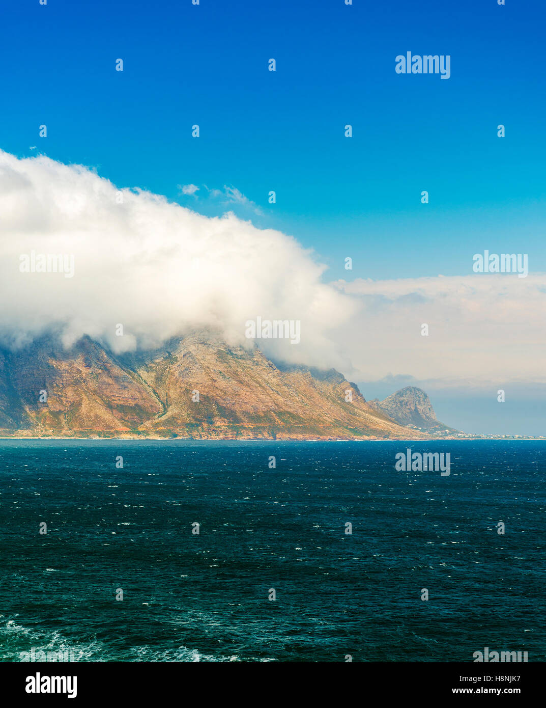 Littoral Parc National de Table Mountain en Afrique du Sud Banque D'Images