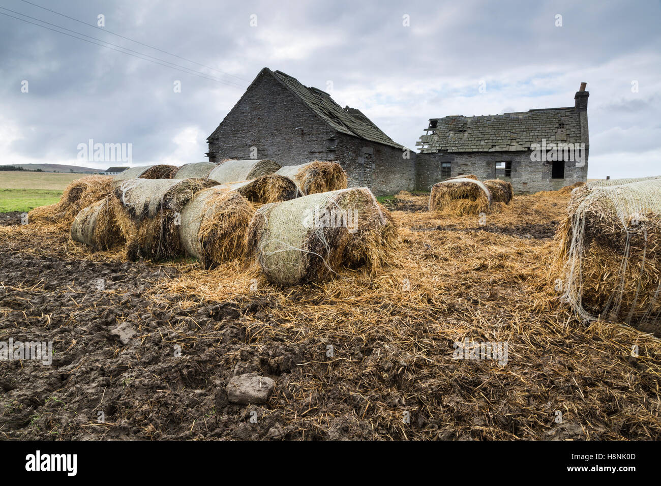 Ancien bâtiment de ferme en ruine au nord de l'Écosse Banque D'Images