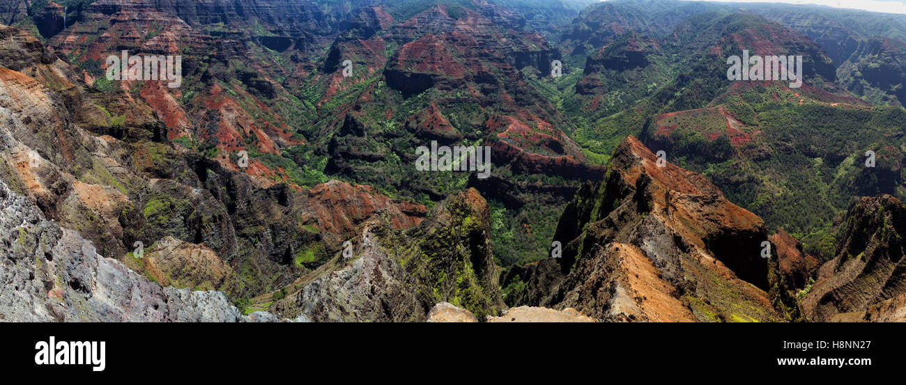 Vue sur le Canyon de Waimea sur l'île de Kauai, Hawaii, USA. Banque D'Images