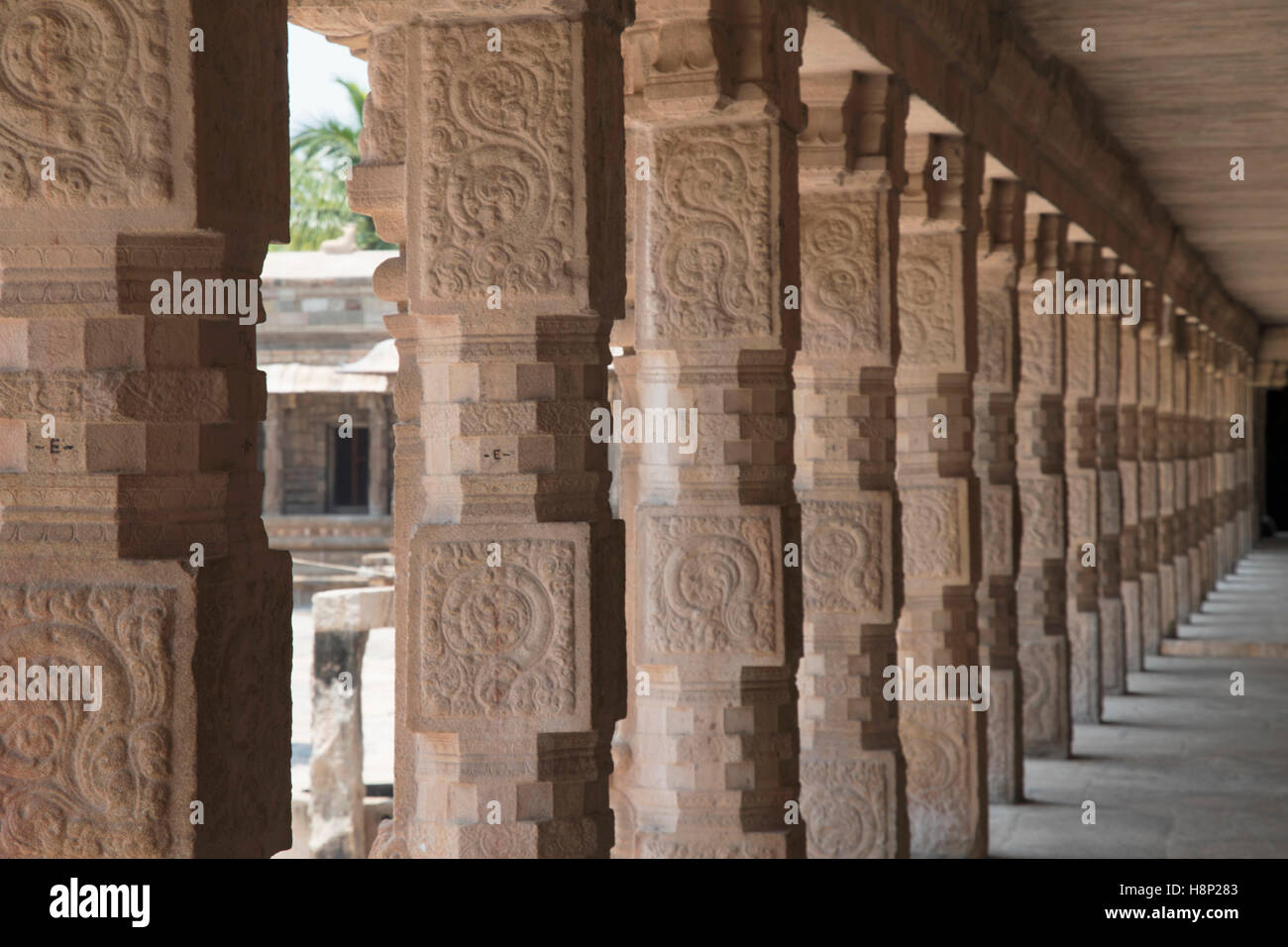 Le nord des piliers sculptés du cloître, Temple d'Airavatesvara, Darasuram, Tamil Nadu, Inde. Banque D'Images