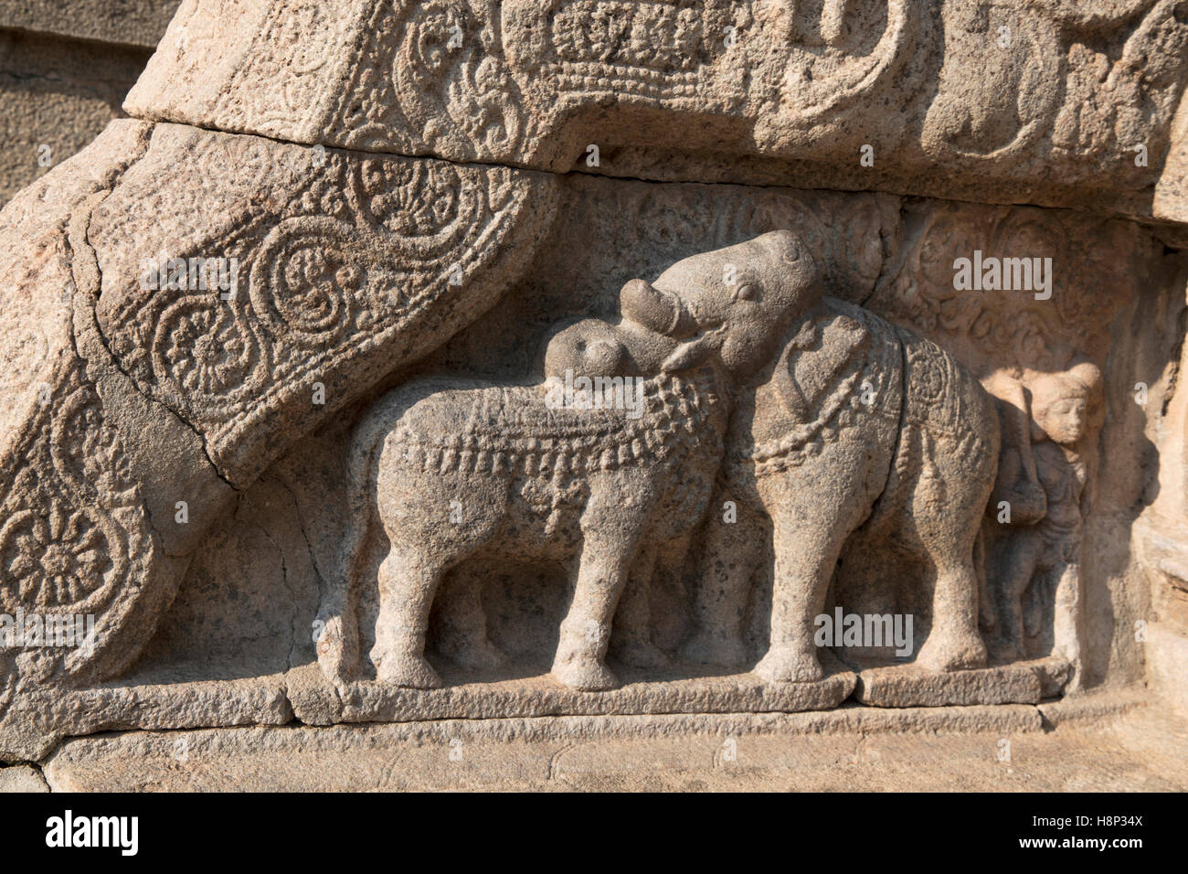 Bull et l'Éléphant de chiffres sur les balustrades, entrée nord du Nataraja mandapa, complexe du temple d'Airavatesvara, Darasuram, Ta Banque D'Images