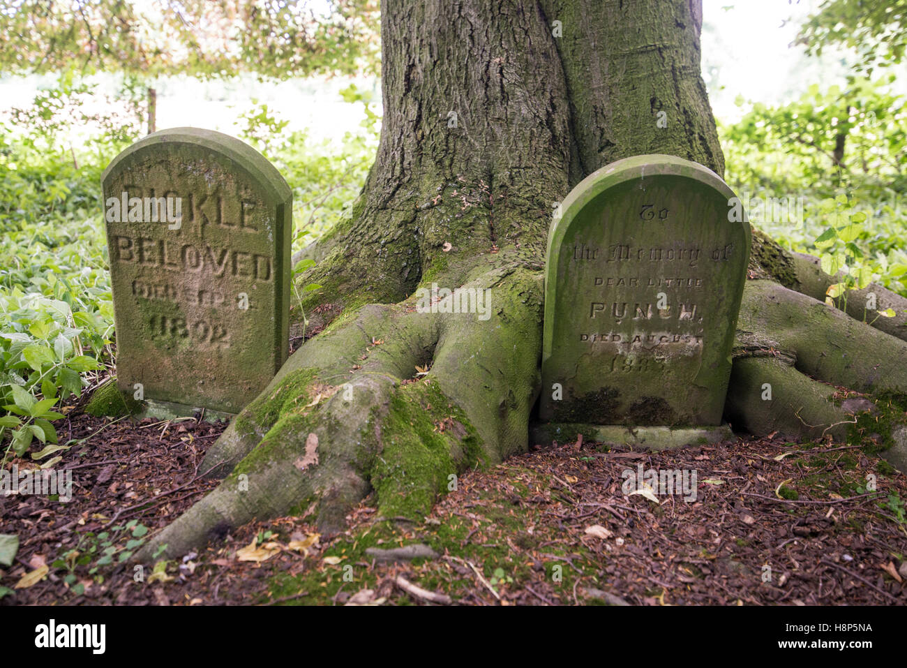 Royaume-uni, Angleterre, dans le Yorkshire - pierres tombales anciennes des tombes dans les jardins à l'historique Kiplin Hall dans le Yorkshire, en Angleterre. Banque D'Images