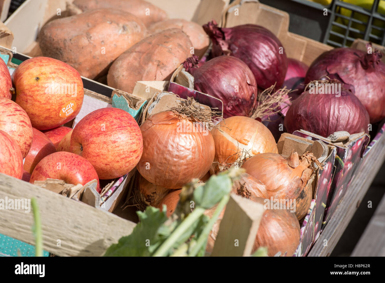 Royaume-uni, Angleterre, dans le Yorkshire, Richmond - légumes pour la vente dans un marché en plein air locaux dans la ville de Richmond, situé dans le Nord de Yo Banque D'Images
