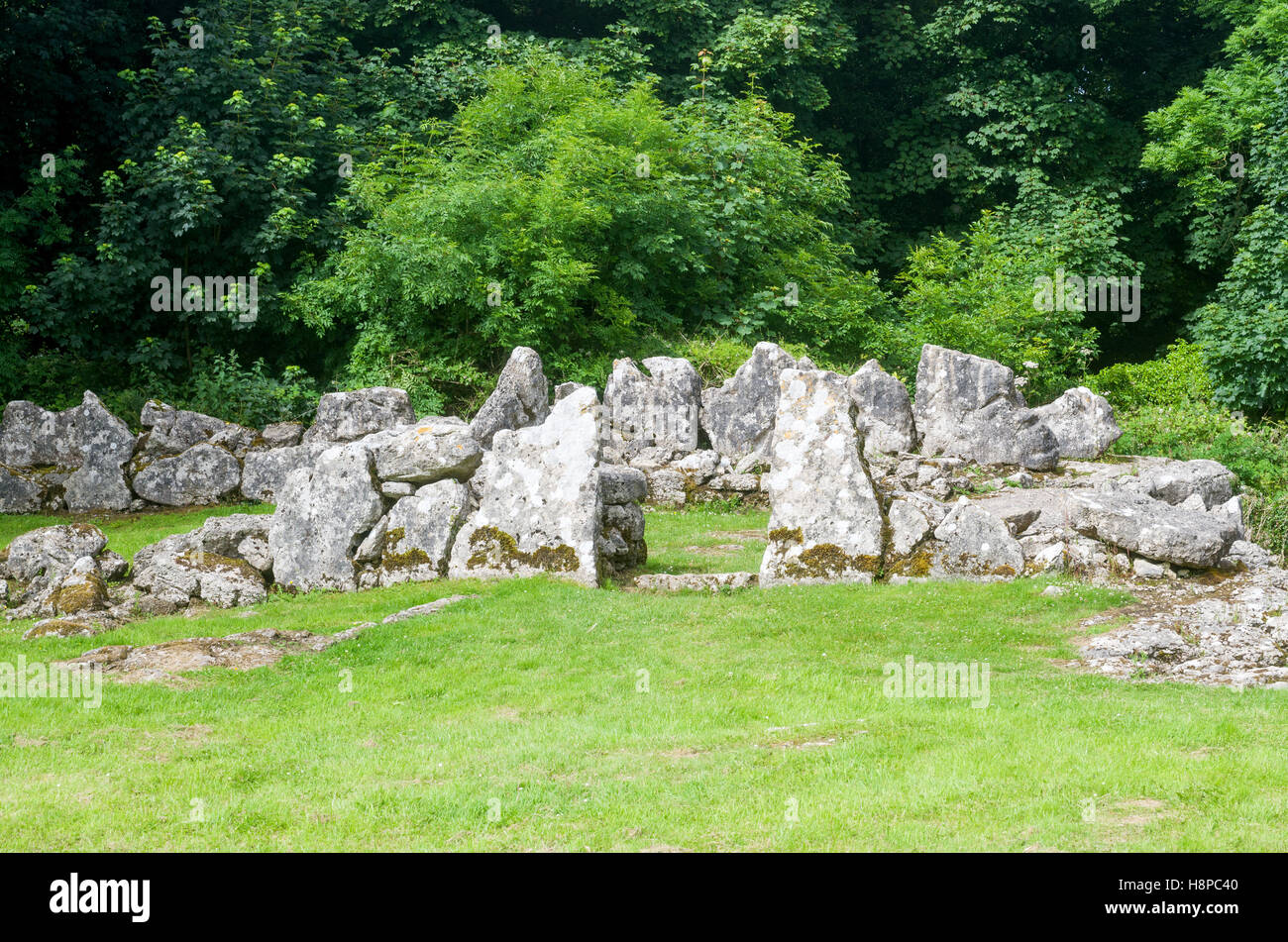 Din Din Lligwy - Llugwy, le monument ancien refuge fortifié près de l'établissement groupe Llangefni, Anglesey, au nord du Pays de Galles Banque D'Images
