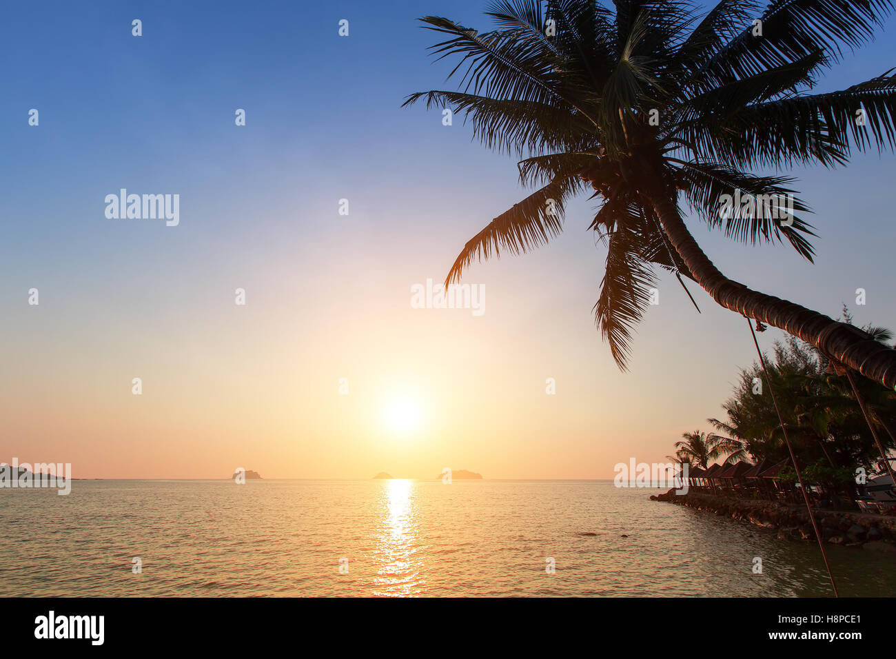 Magnifique coucher de soleil sur une plage dans les tropiques. Banque D'Images