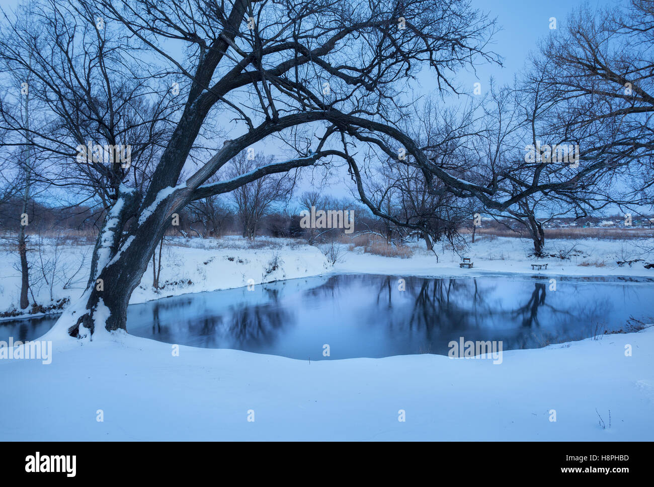 Vieil arbre avec rivière gelée en hiver au coucher du soleil. Beau paysage et forêt d'hiver, Snowy River, ciel bleu et une réflexion de Banque D'Images