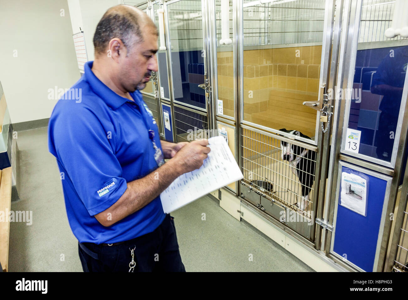 Miami Florida,Miami-Dade Animal Services PET adoption and protection Center,centre,abri,intérieur,hispanique Latin Latino ethnique immigré immi Banque D'Images