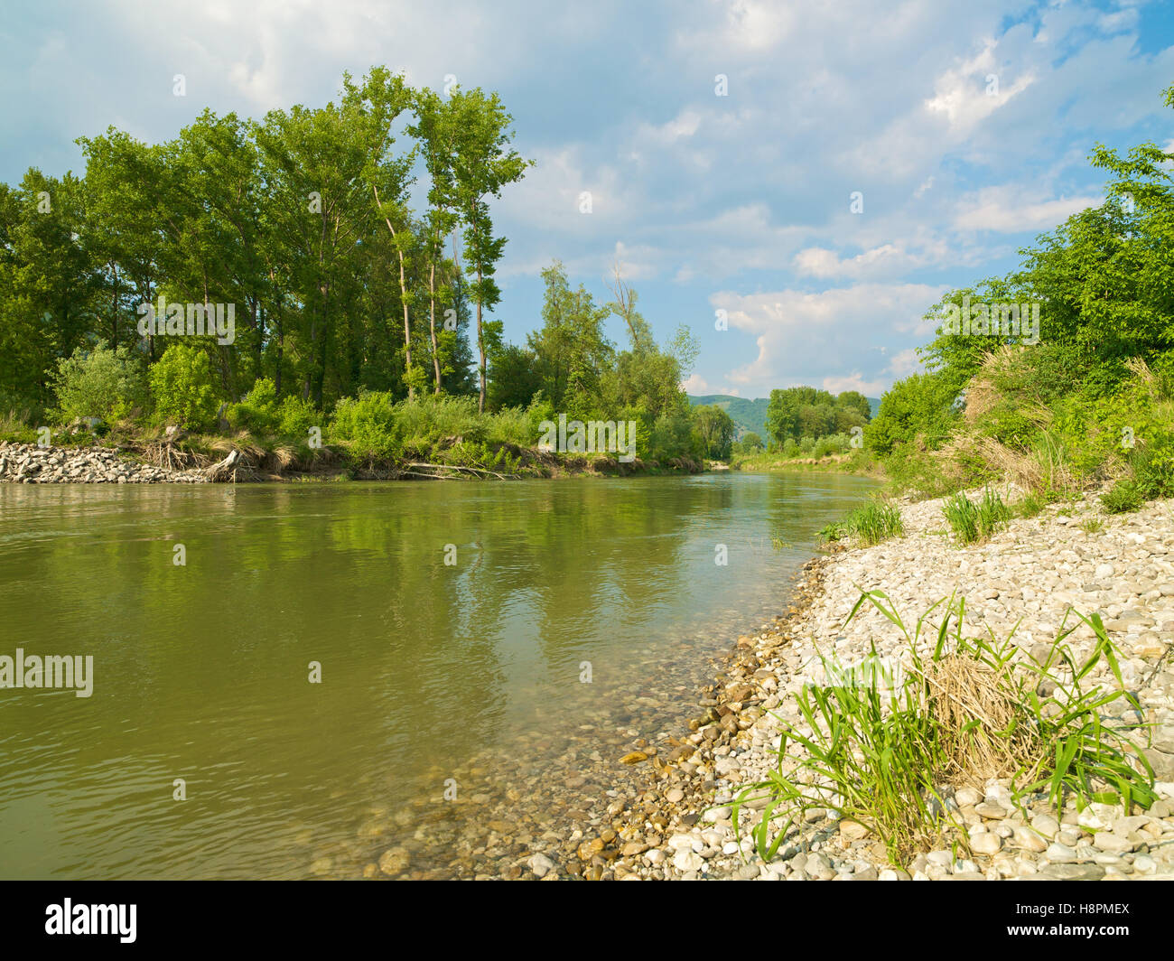 Succursale de Danube, Autriche, Europe, Autriche, Europe, région de Wachau, Weissenkirchen Banque D'Images