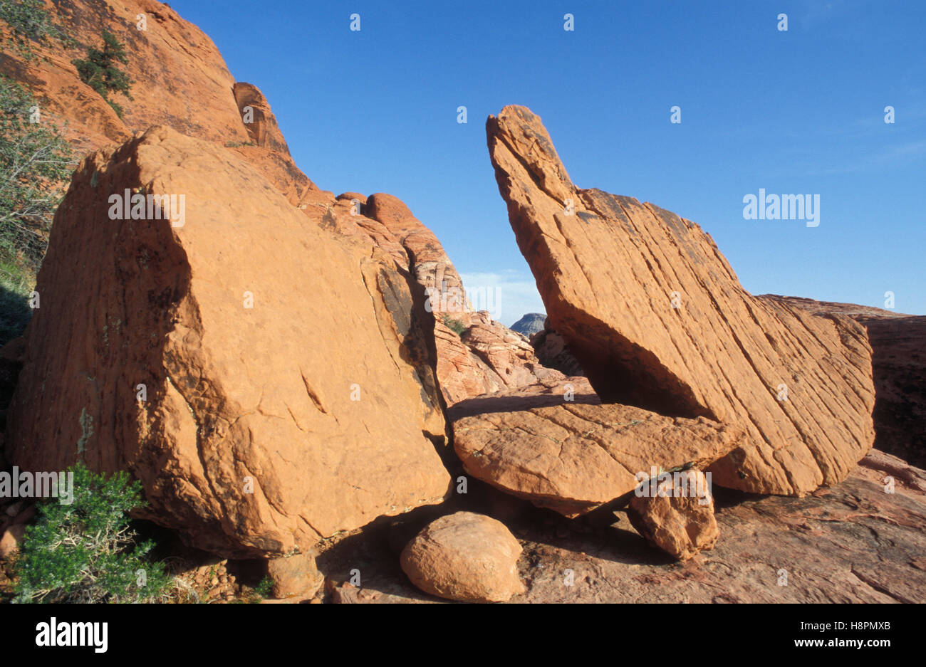 Des roches dans le calicot Hills, près de Red Rock Canyon Las Vegas, Nevada, USA Banque D'Images