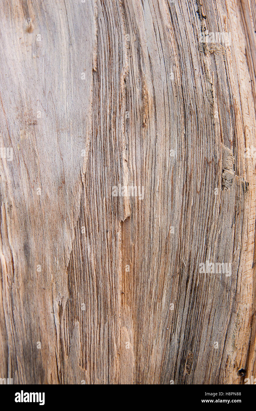 Résumé de la texture. Vintage style rustique. Surface naturelle, vintage background Banque D'Images