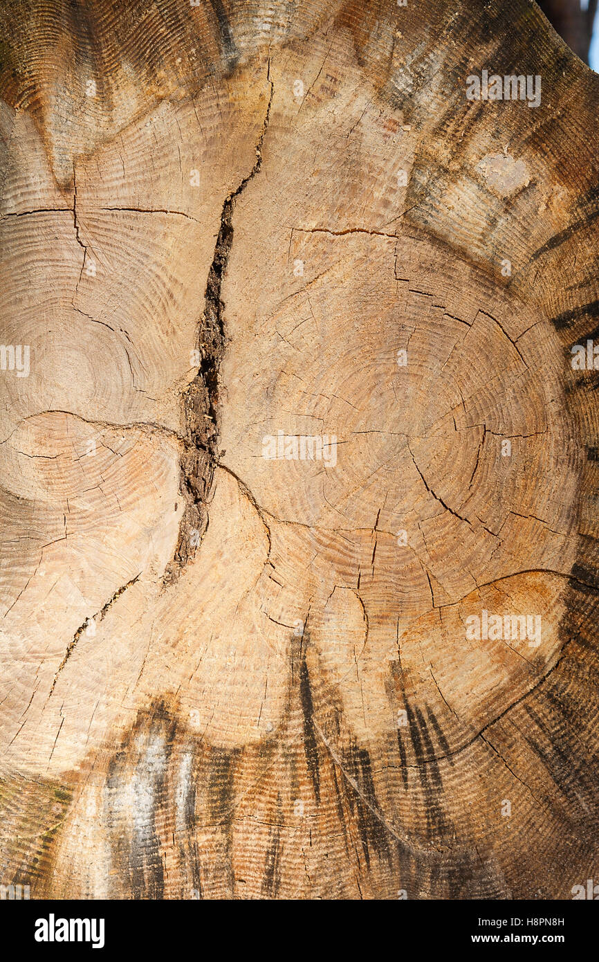 Résumé de la texture. Vintage style rustique. Surface naturelle, vintage background Banque D'Images